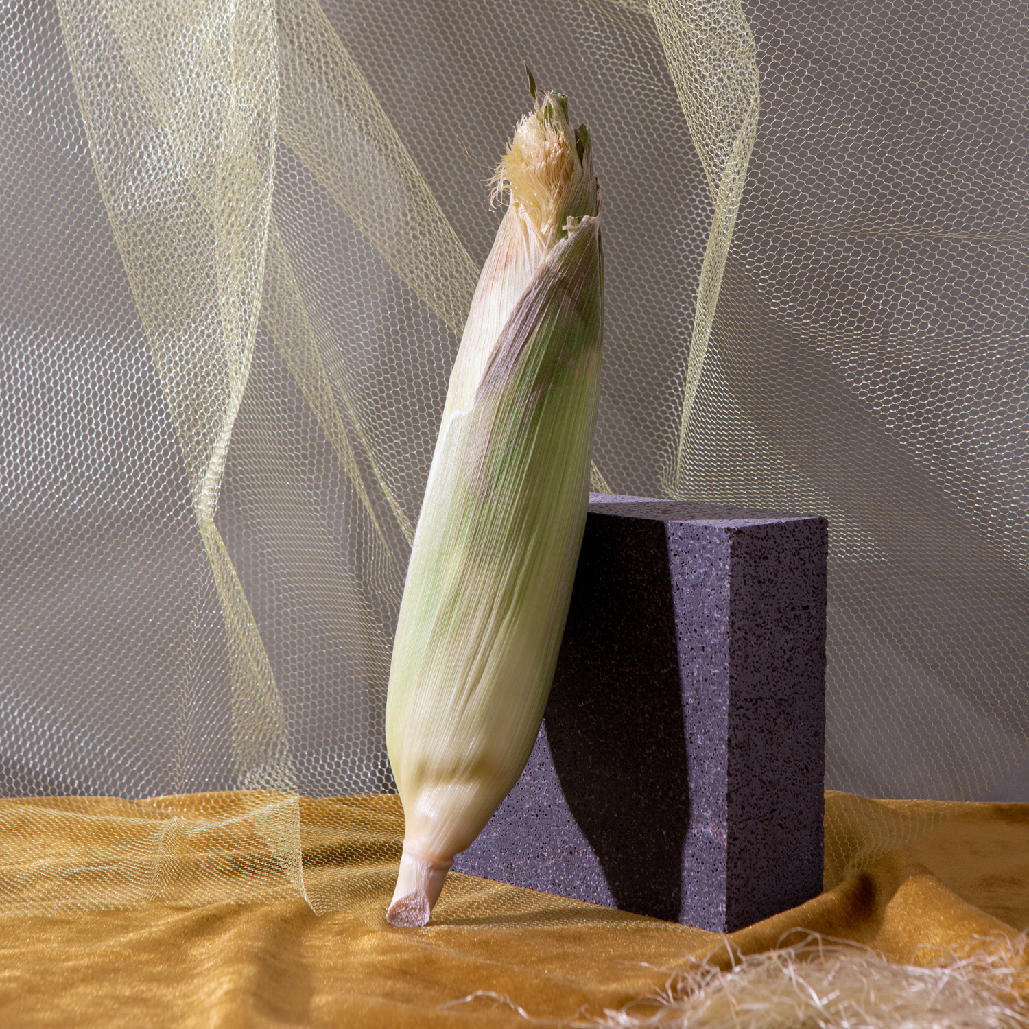 A Better Source: corn husk natural packaging
