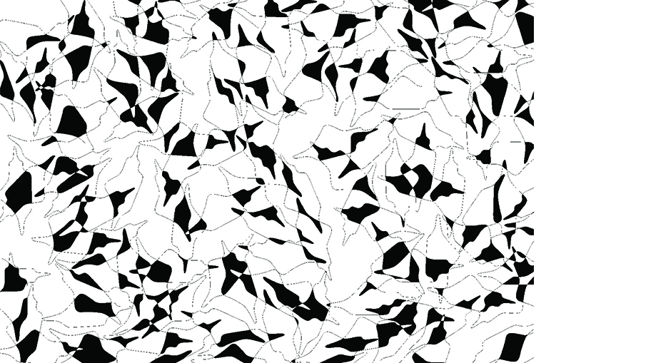 student: Manuel Bonell