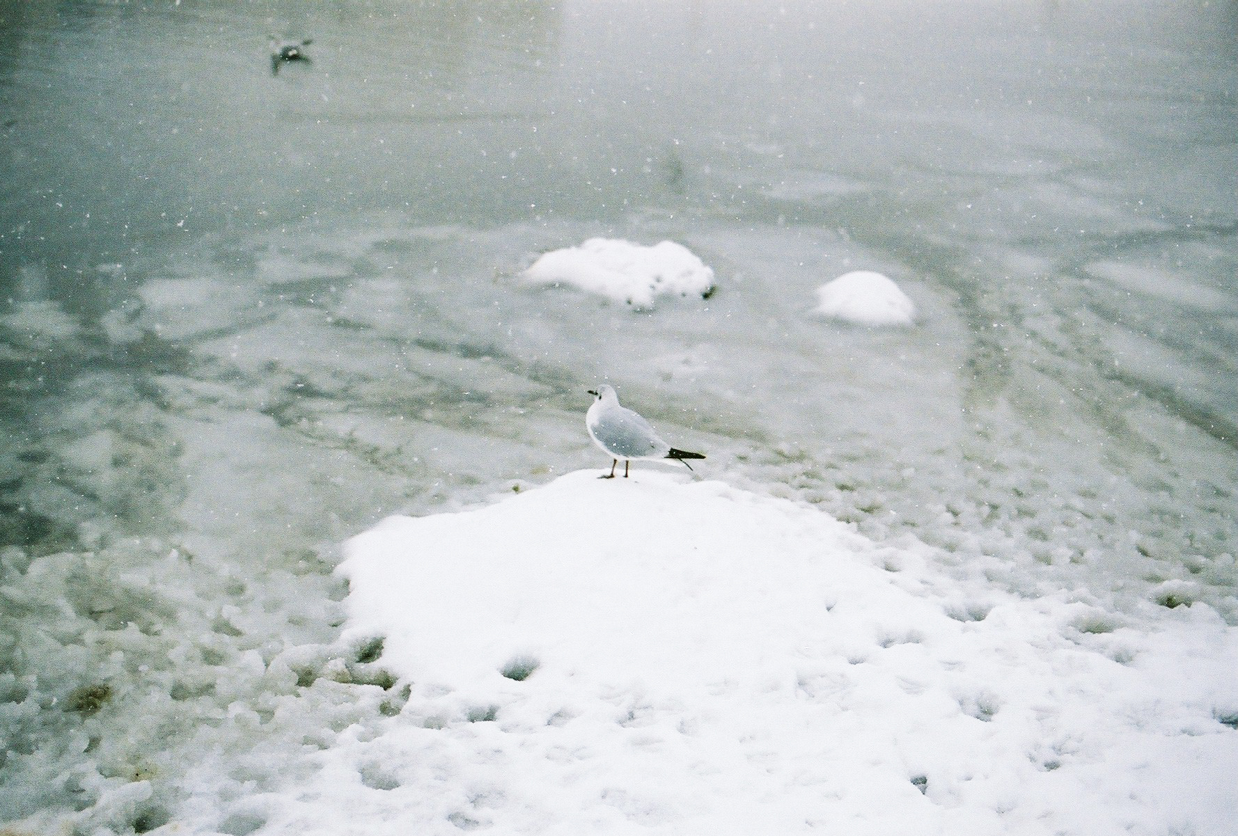 Montpellier, France, 2018.