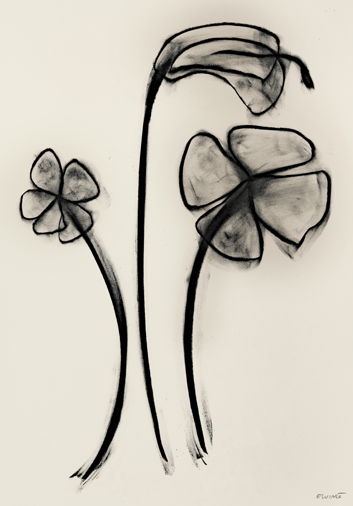 Floral Study #24, 2024