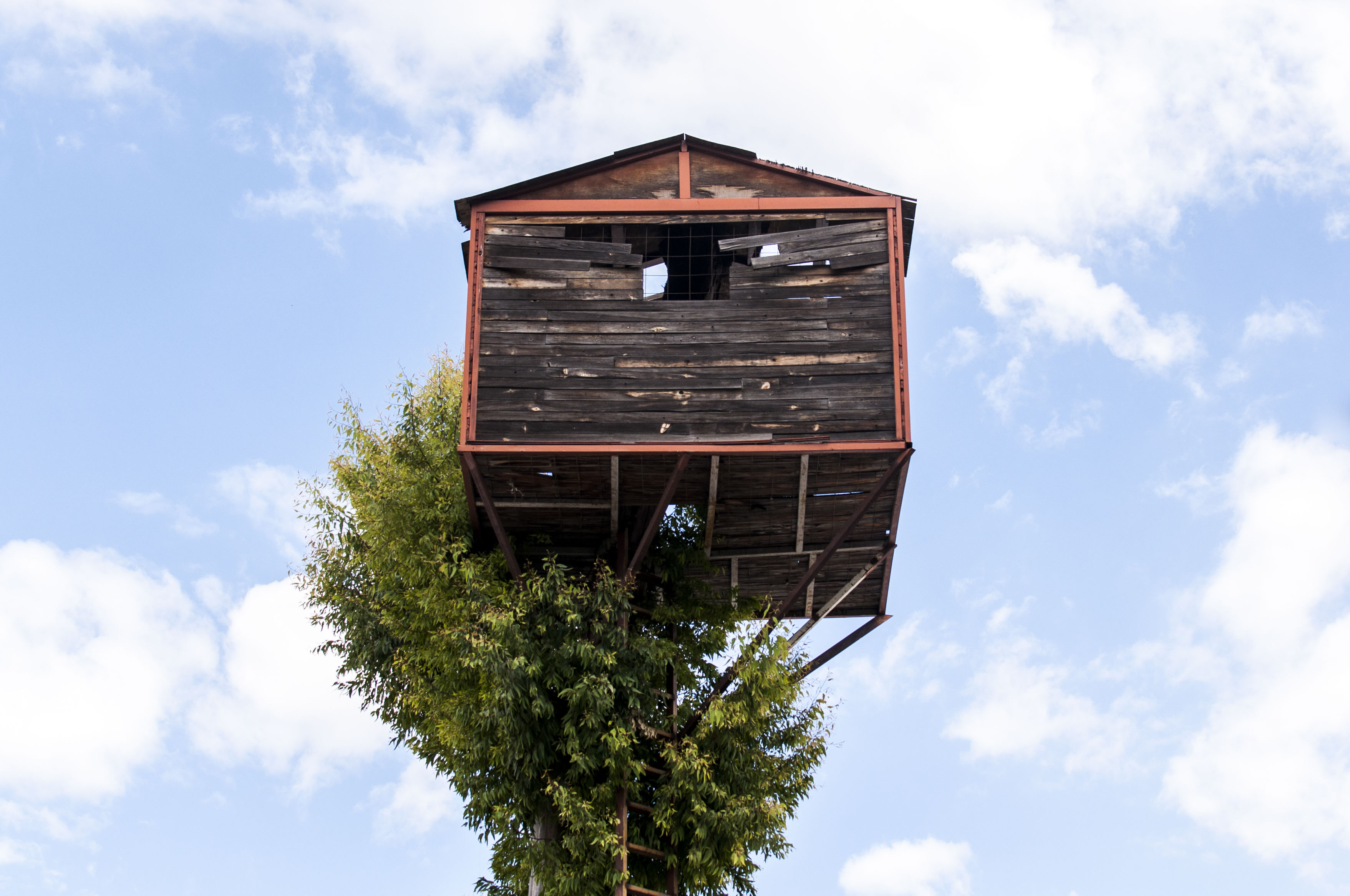 Casa del árbol, San Andrés Cholula. México. 2016