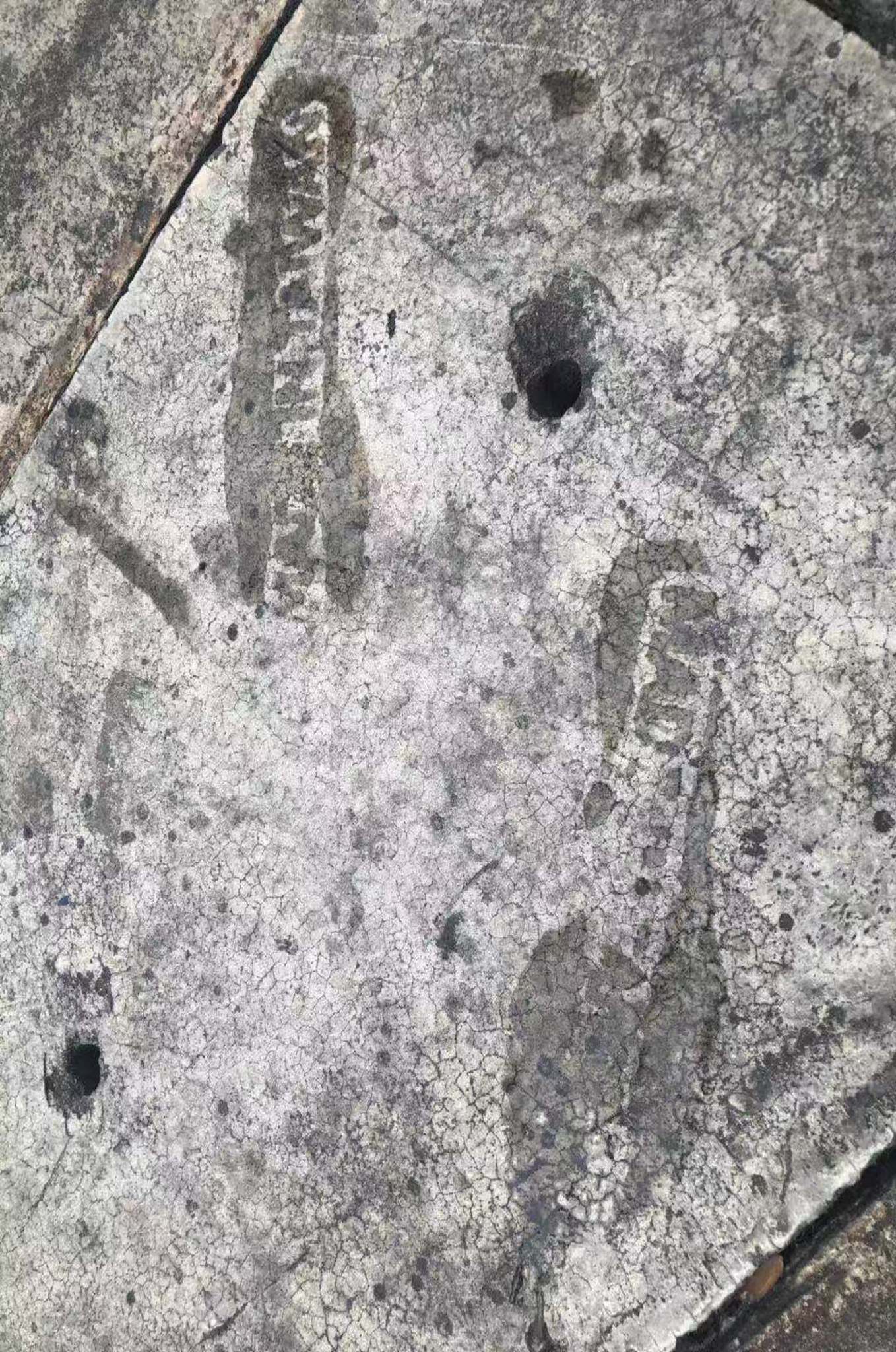 Flats on cement. Bandar Butterworth, Malaysia. July, 2019