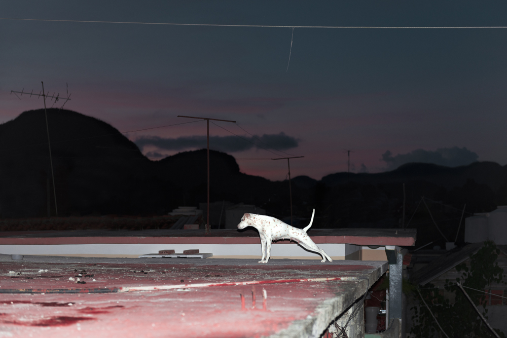 Francois Ollivier, La Vida Continua, 20" x 30," $800 + tax