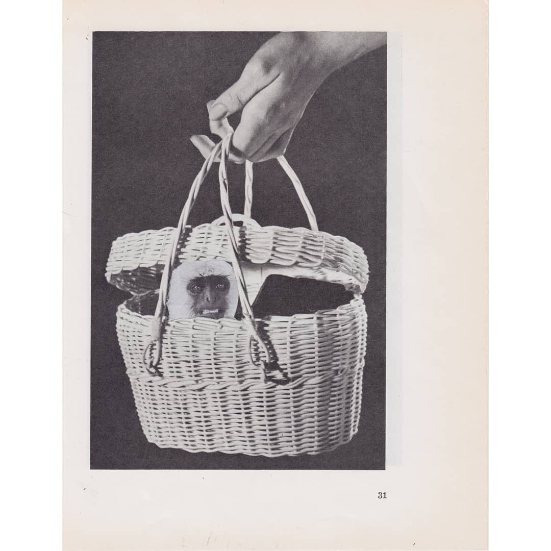 sideline | picture | collage