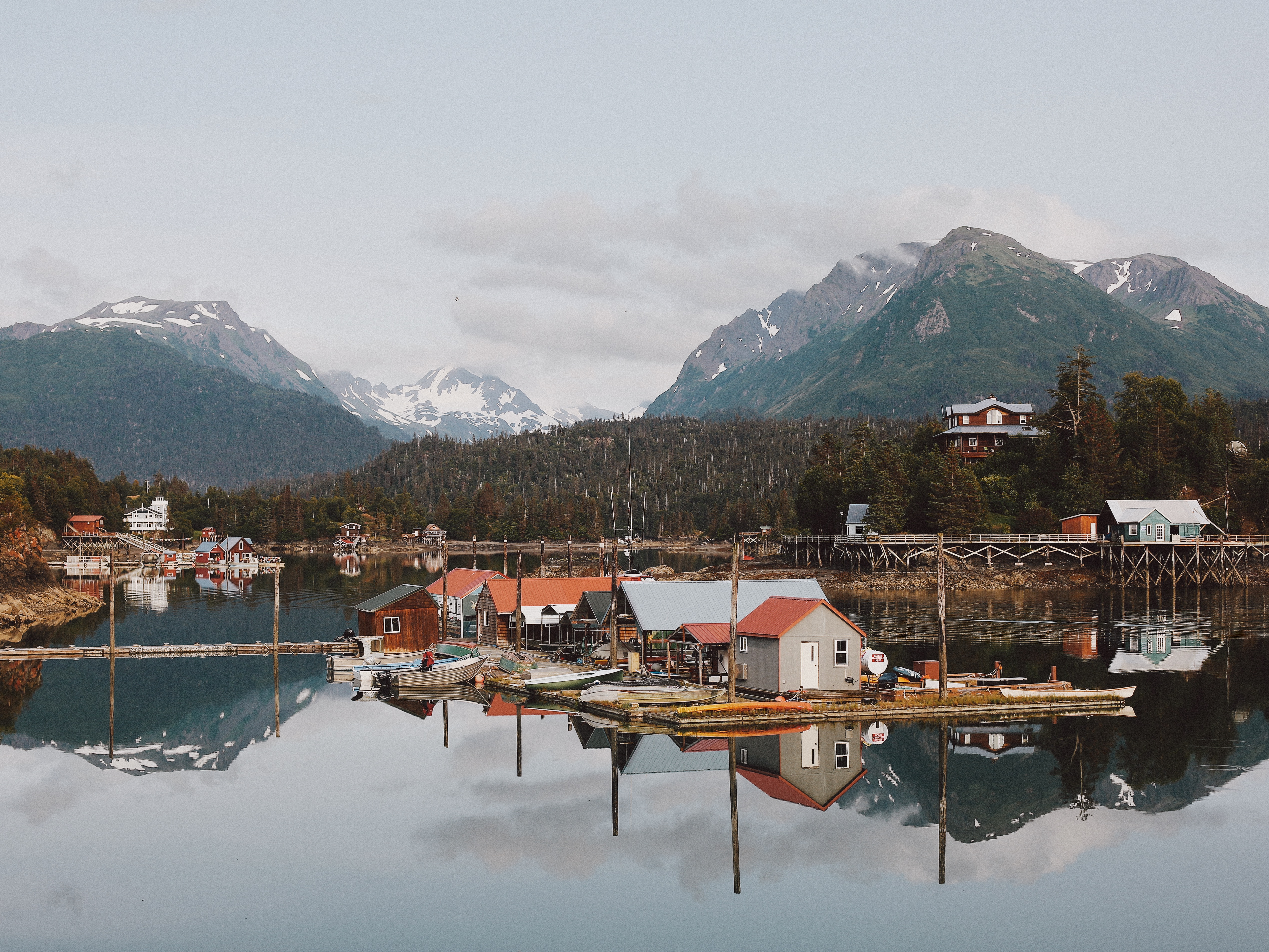Harbor | Halibut Cove, AK