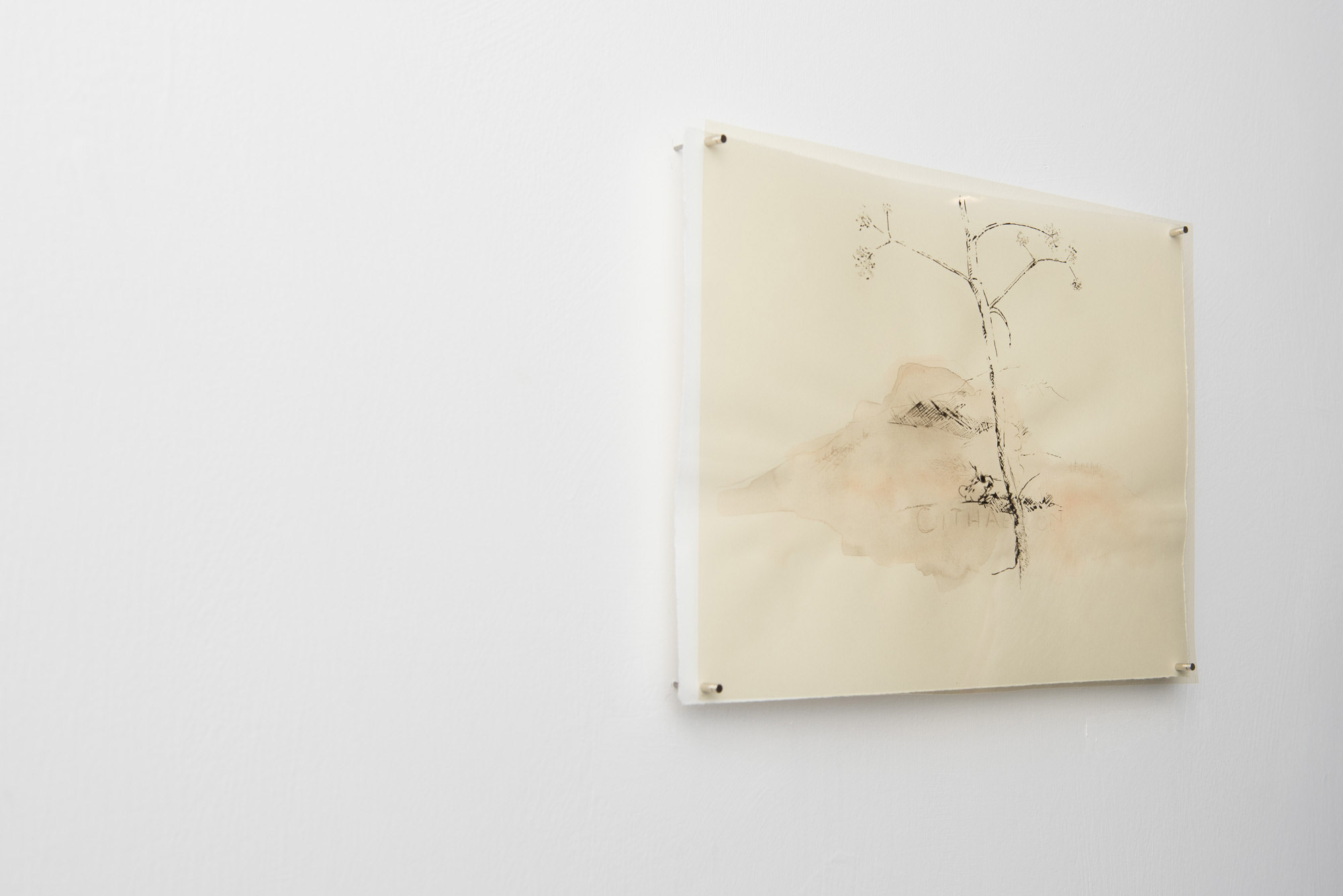 Cithaeron, drawing: acrylic, ink, pigment, pencil - 9" x 7