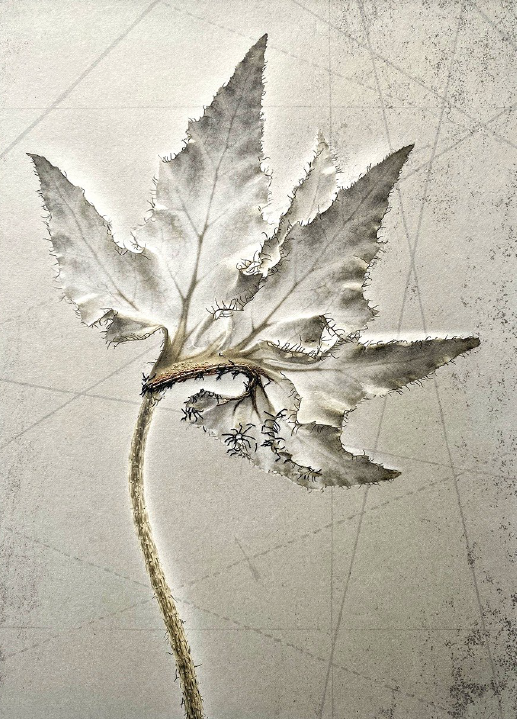 © Sophie ZÉNONHÉLÈNE JAROS X LIME SWIRL rouge spirale2025