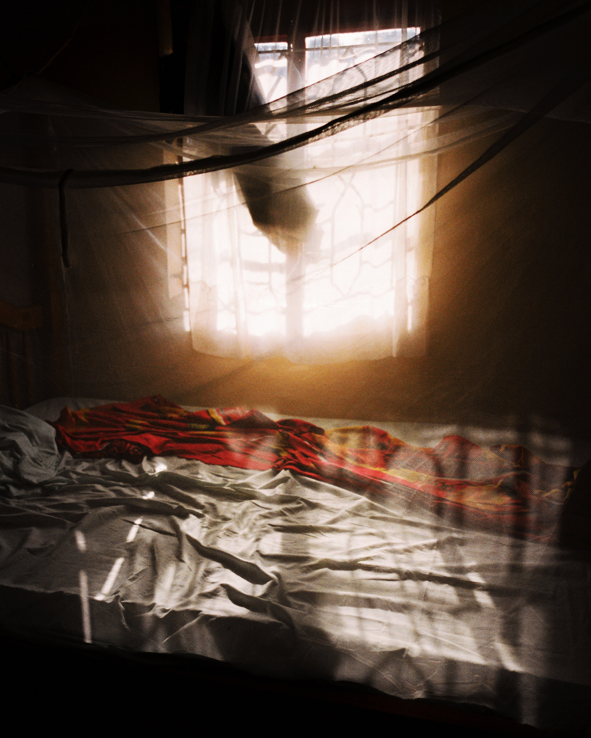 Untitled, Budondo, 2014