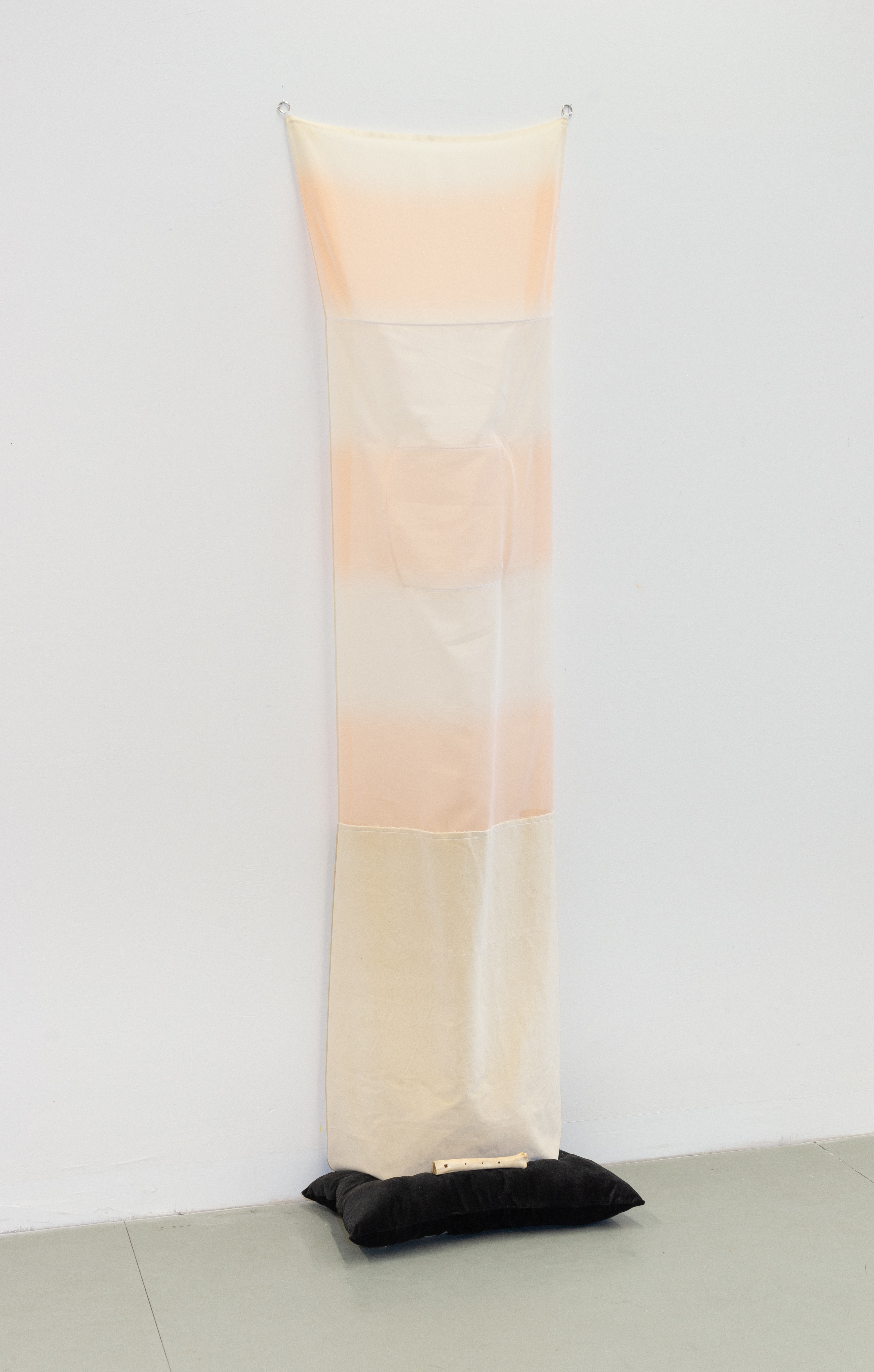 Trees and a tree. 2022