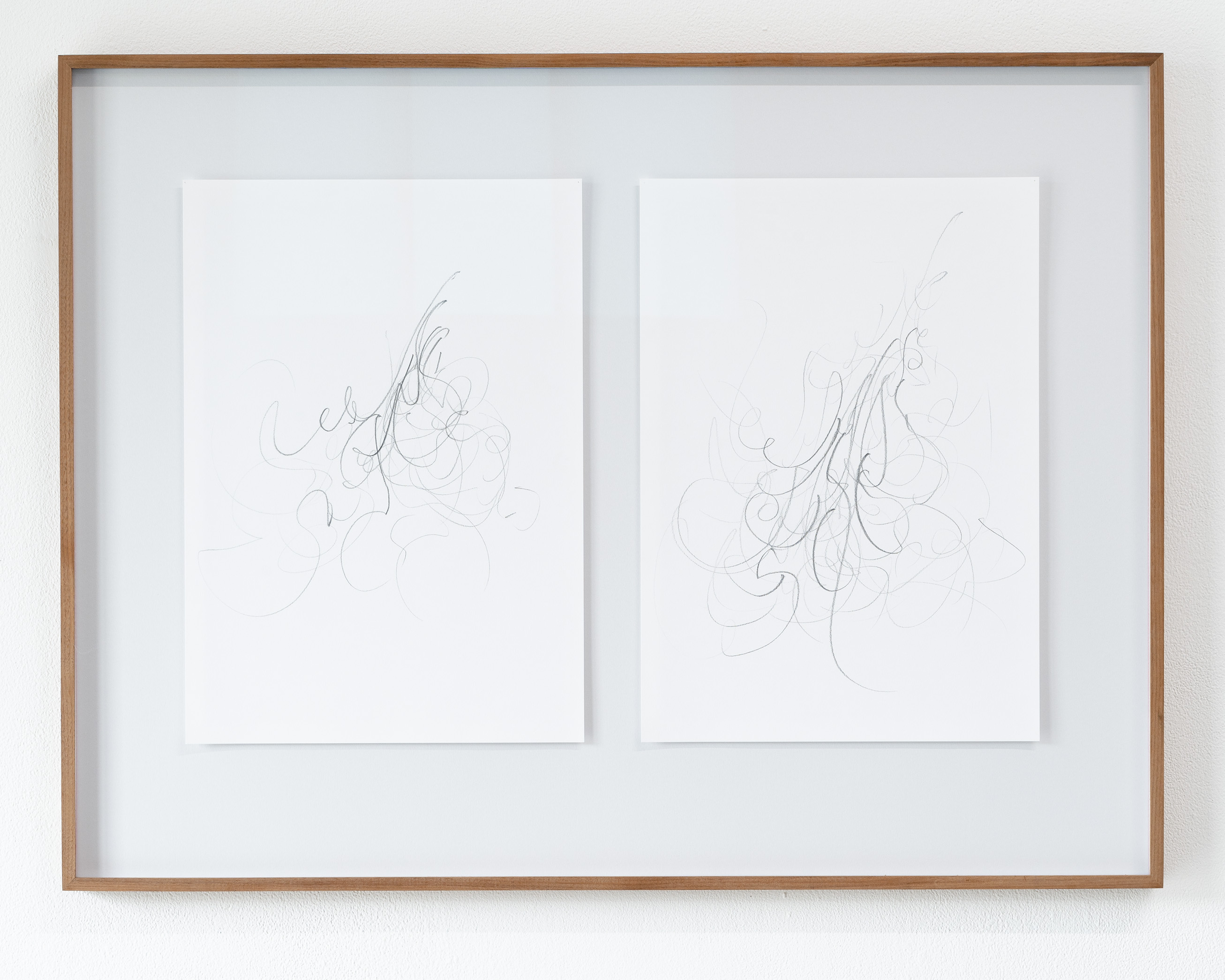 Aantekeningen (Annotations on excitation)2020, ongoing