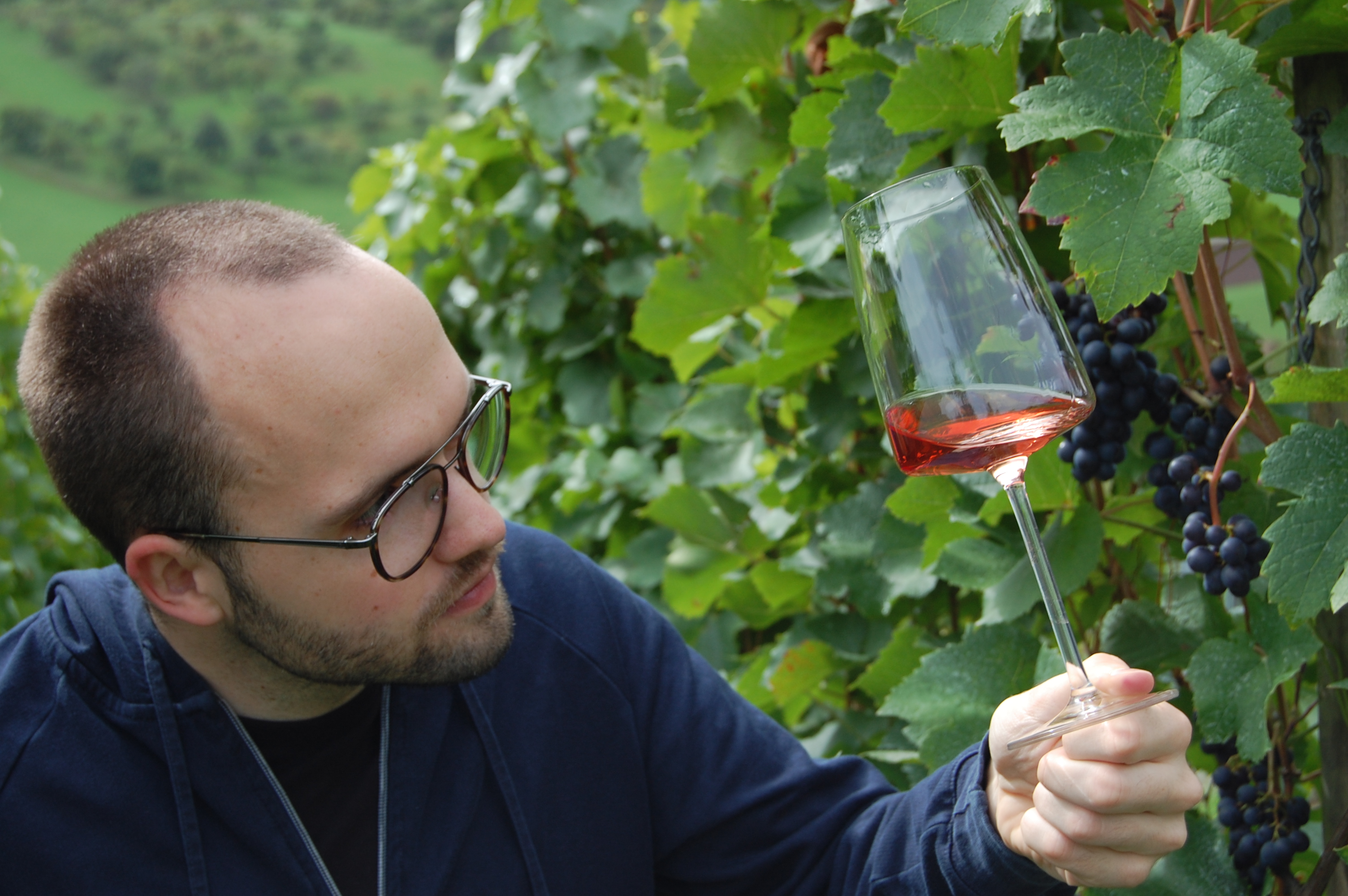Lukas beim Wein Check