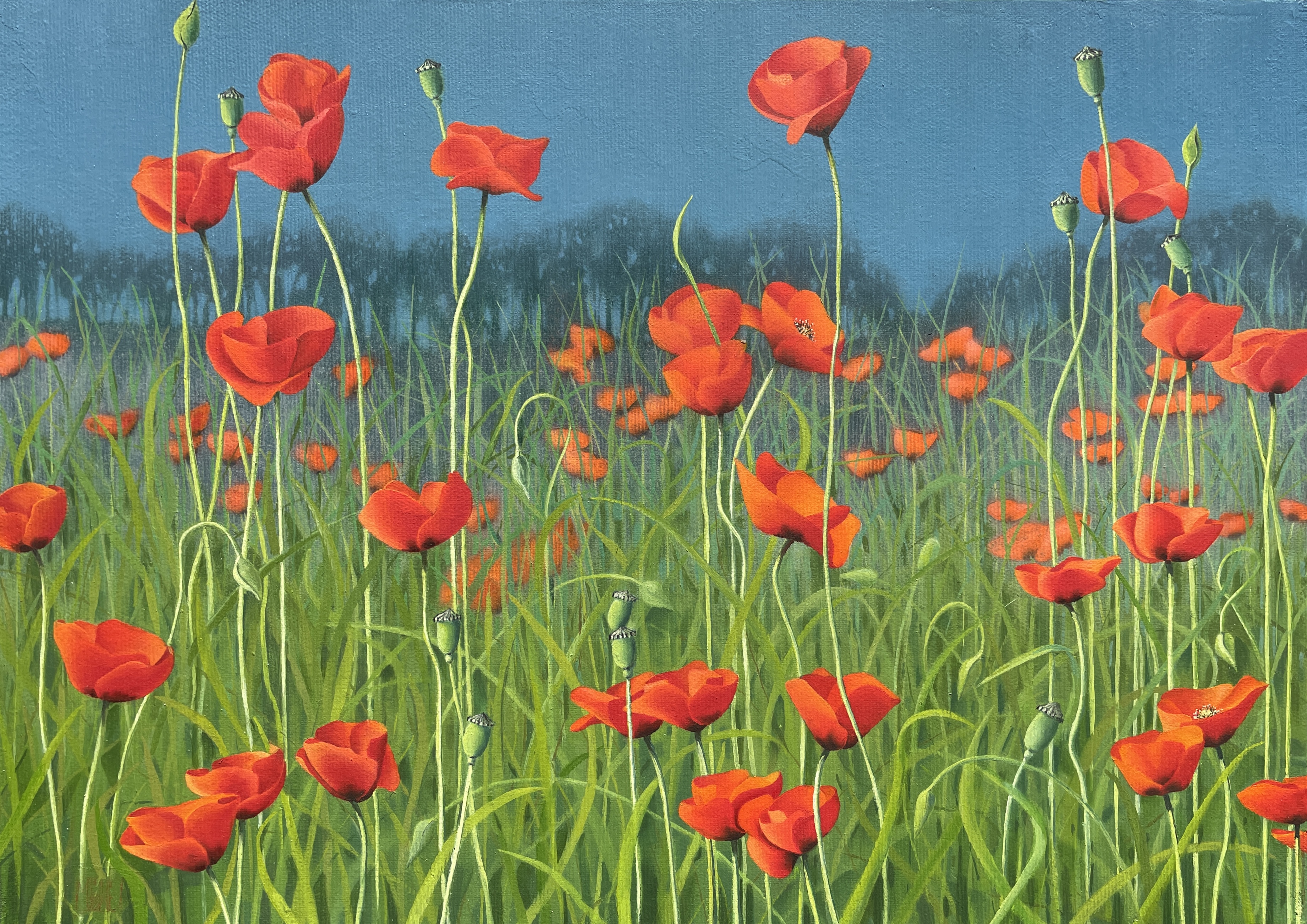 605–Mohnfeld Nr.1246x33 cmÖl auf Leinwand2025︎ Bild kaufen