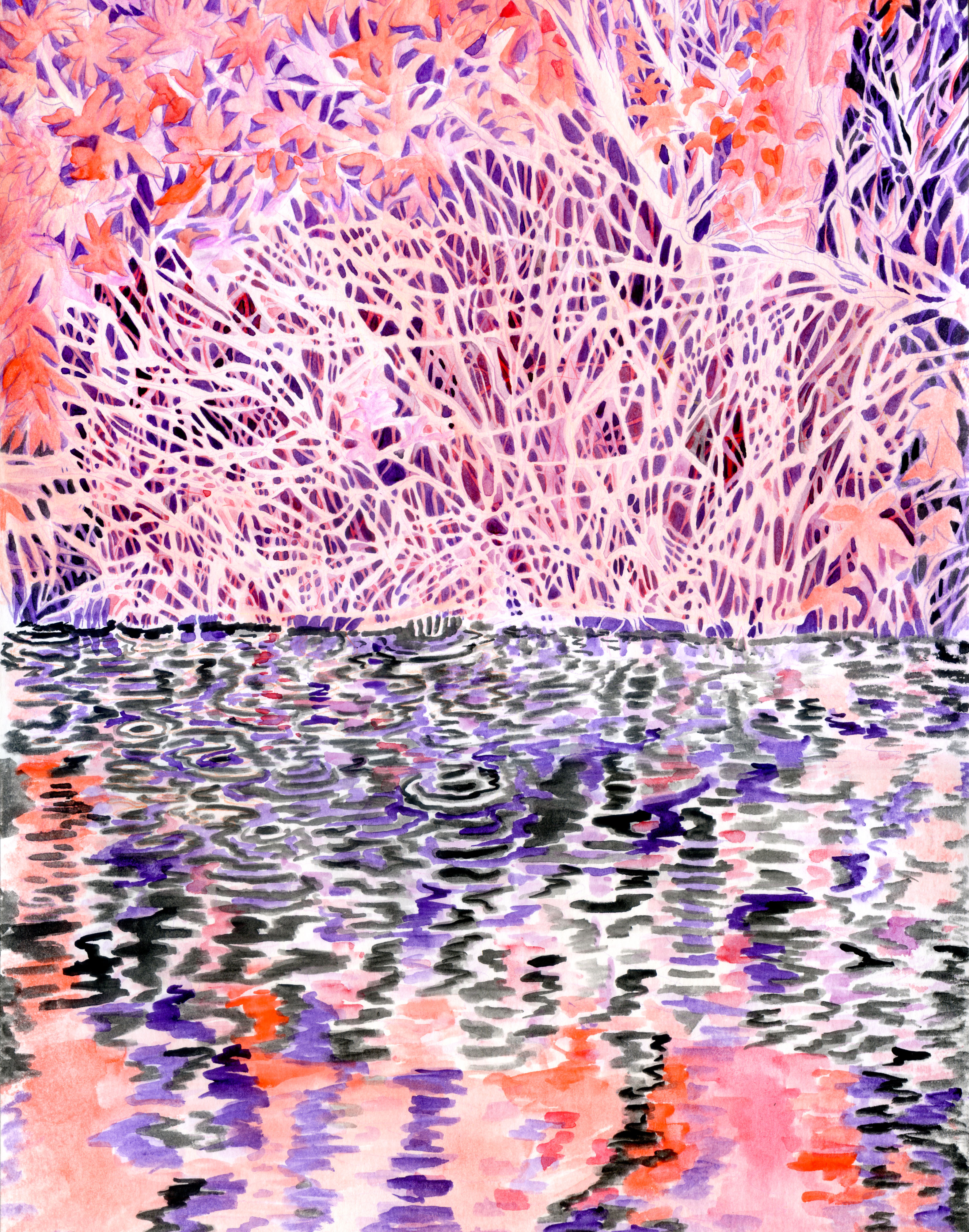 Don't stir the water. 36 x 27 cm. Aquarelle et crayon de couleur sur papier. 2024