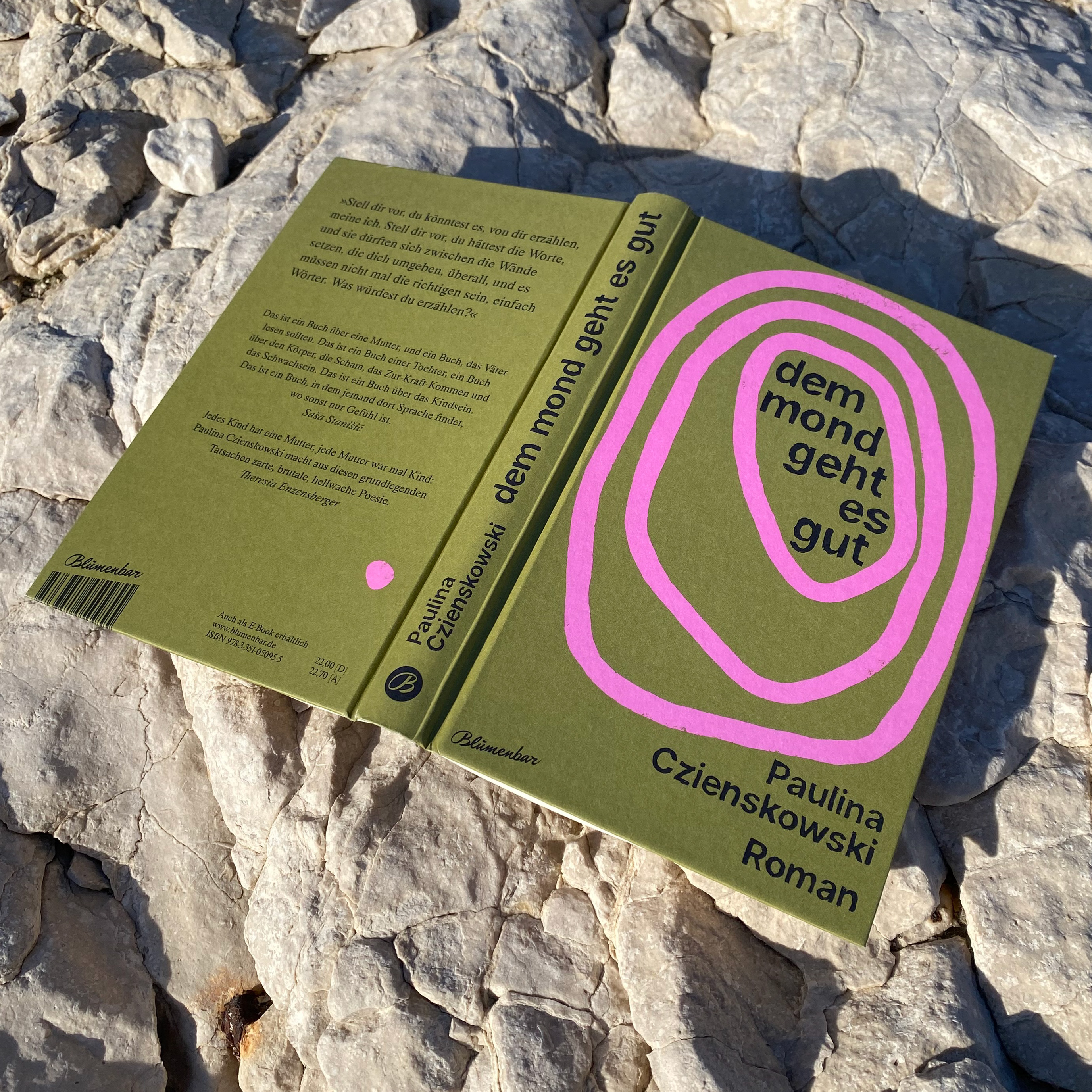 Book Cover Design for Paulina Czienskowski at Aufbau Verlag, 2024-25