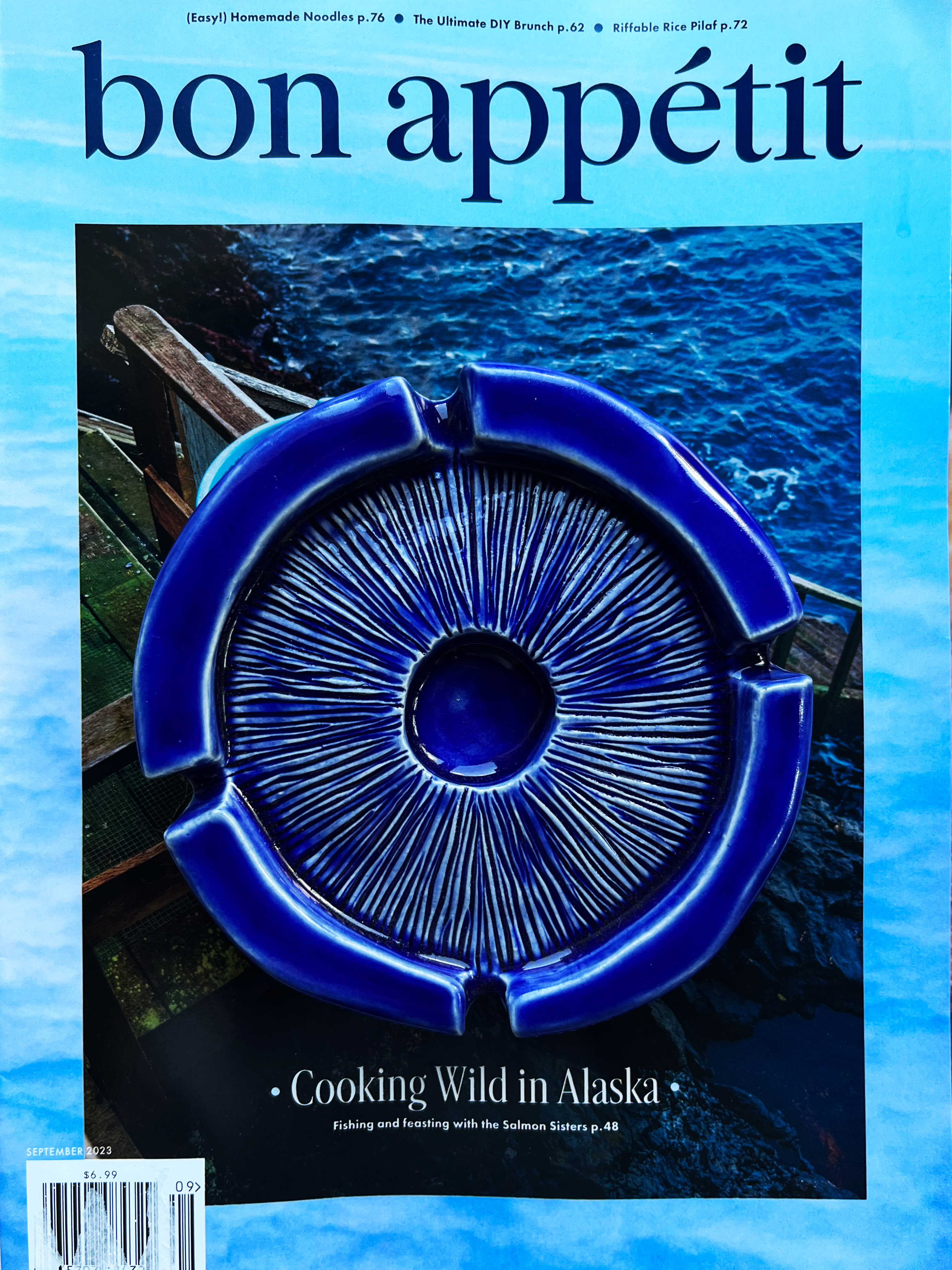 Lactaruis indigo: Indigo