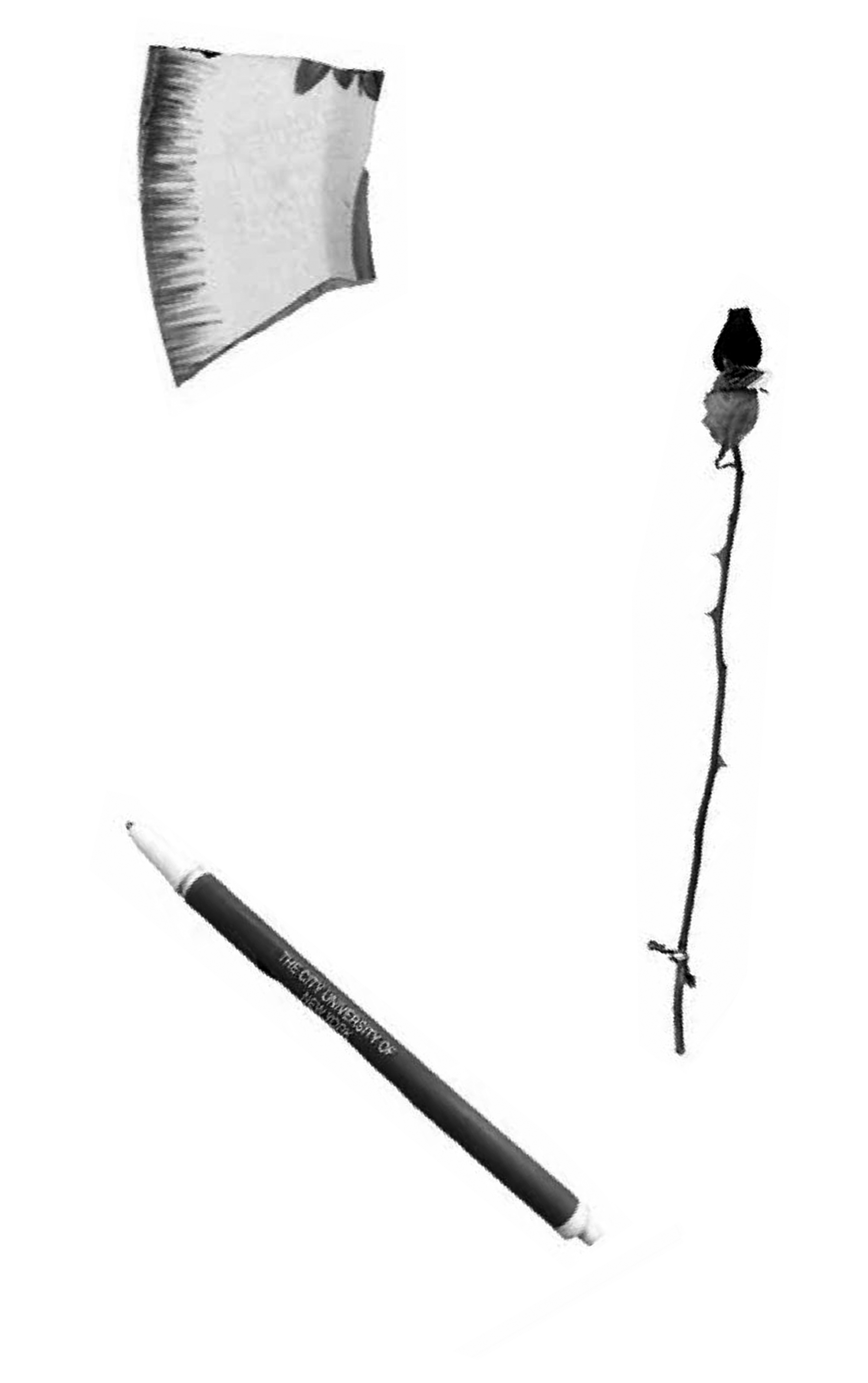 Artifacts found on THE LINE in Liechtenstein. Contributed by Alexander Sokolov