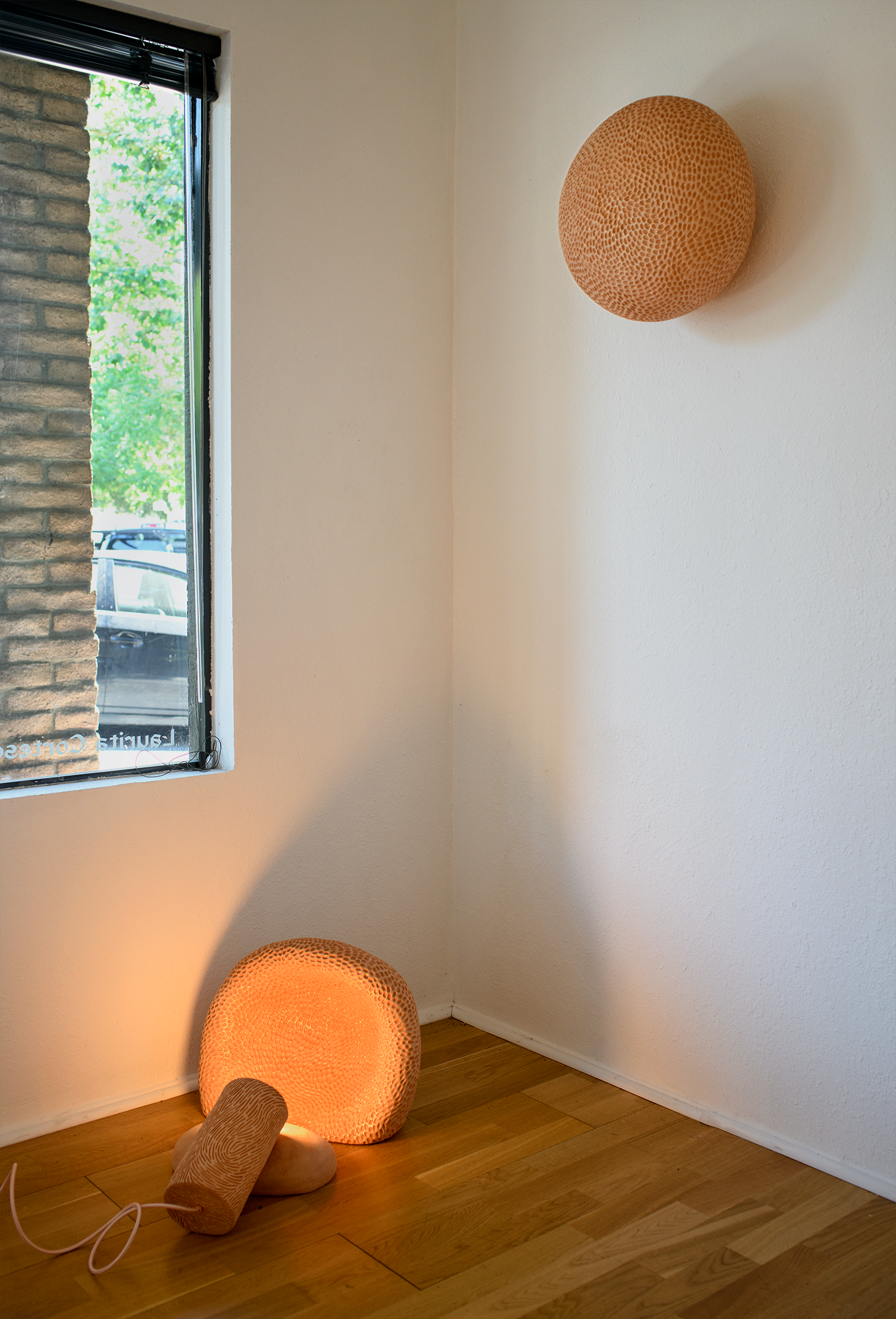 Spore Space / Laurita Cortese