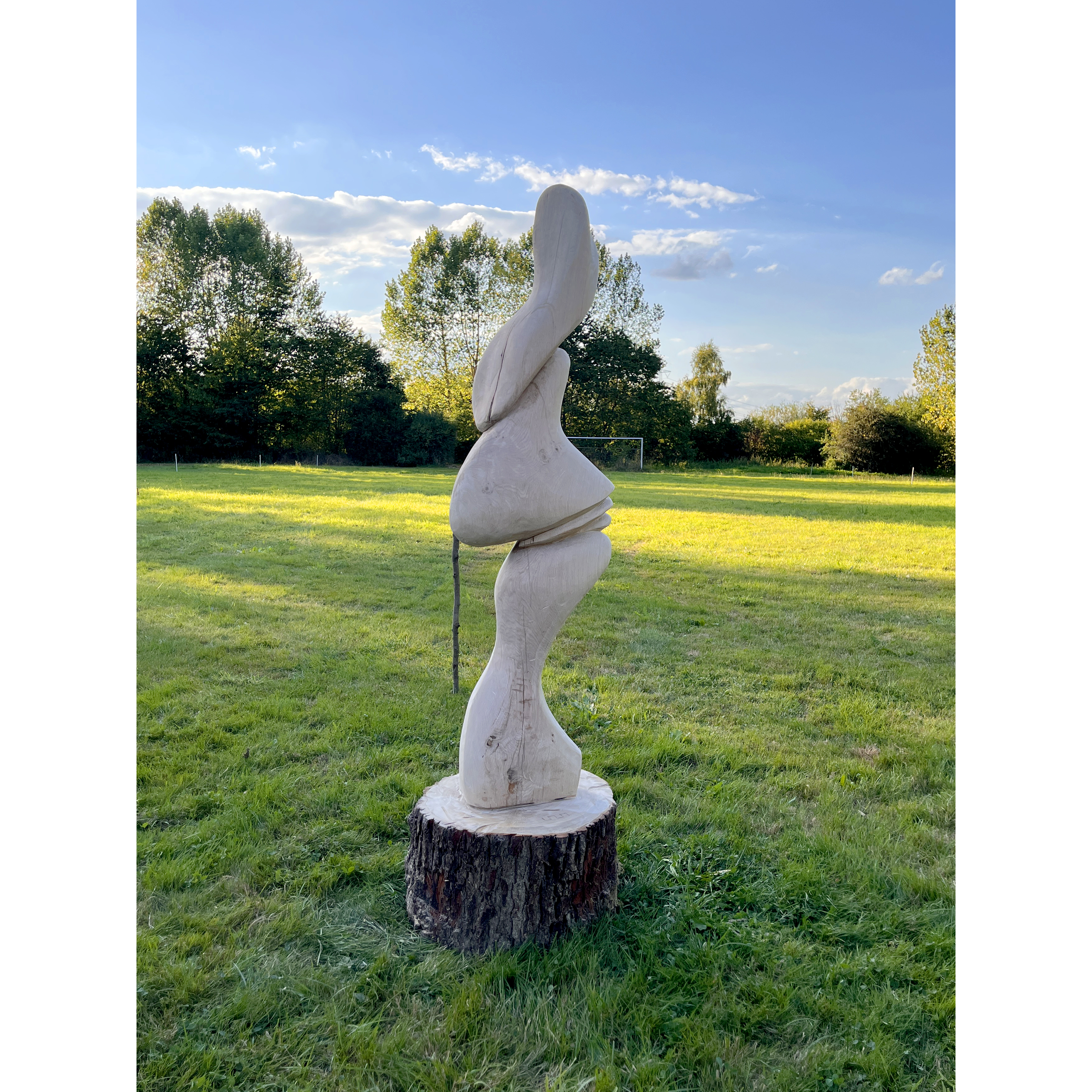 2025/Form in Flux/Wood