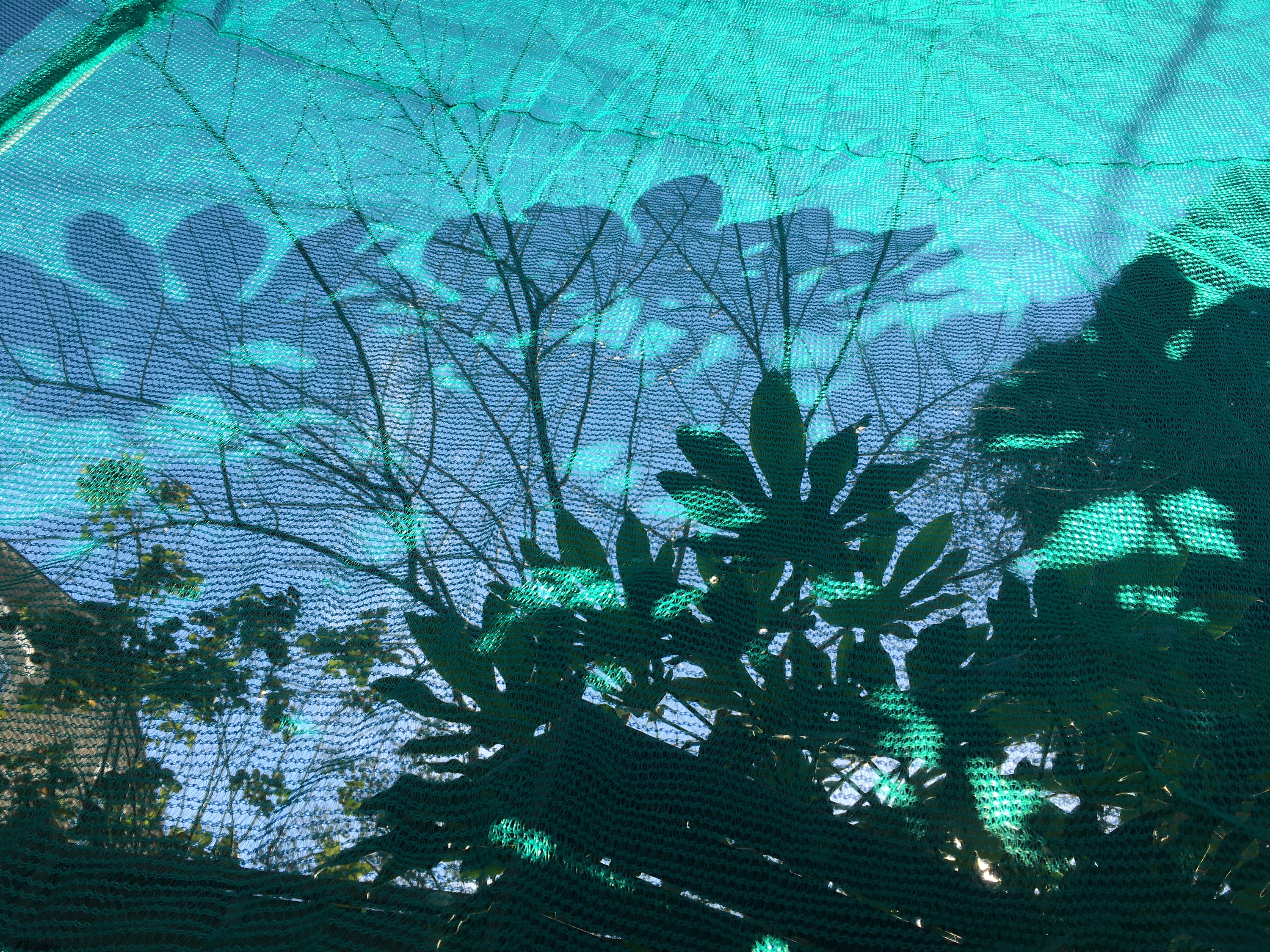 Ataraxia I (detail), 2020, debris netting and steel, 1.6 x 1.6 x 3.2 m, London