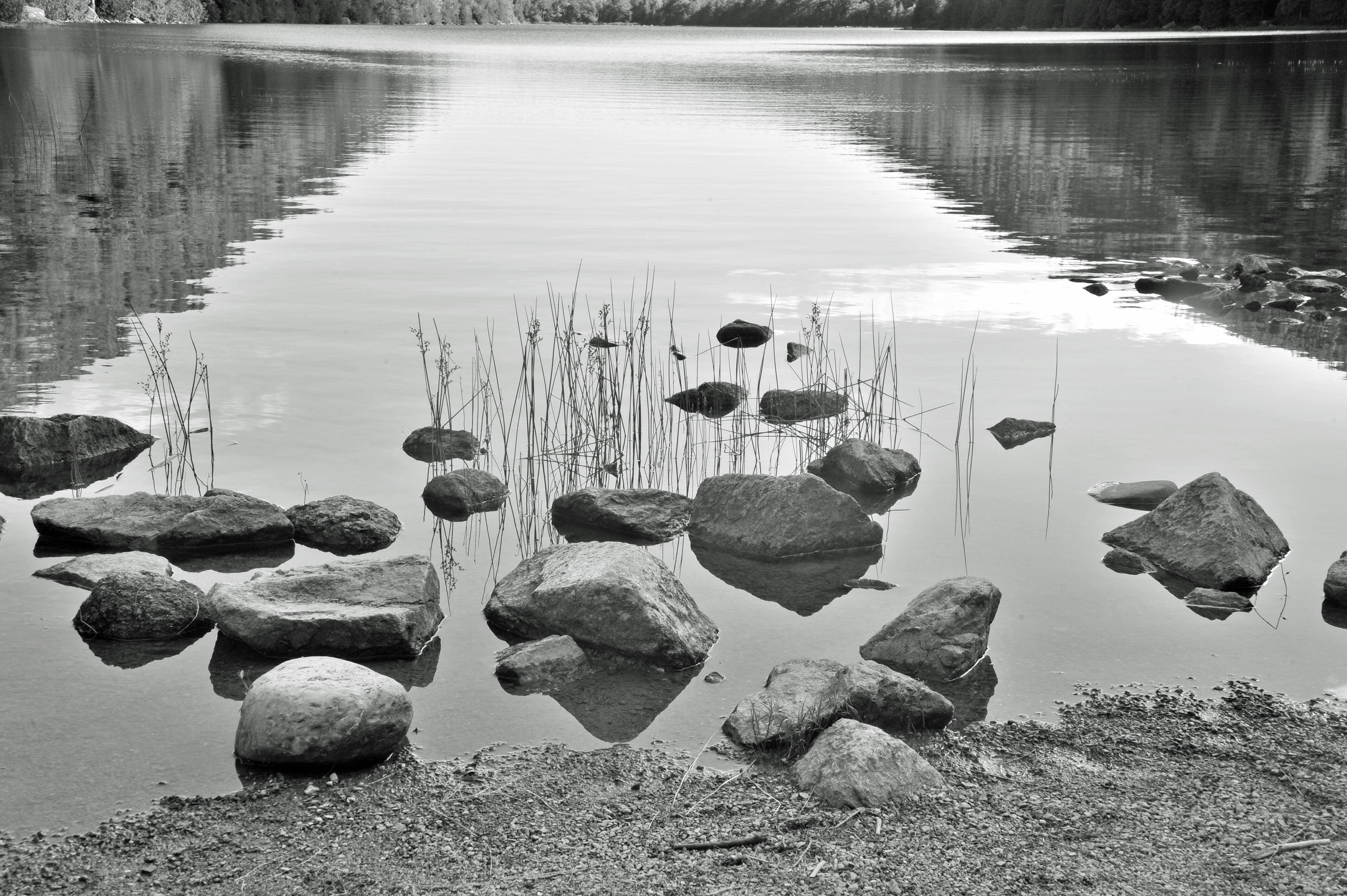 DSC 3487 MaineBUY THIS PRINT