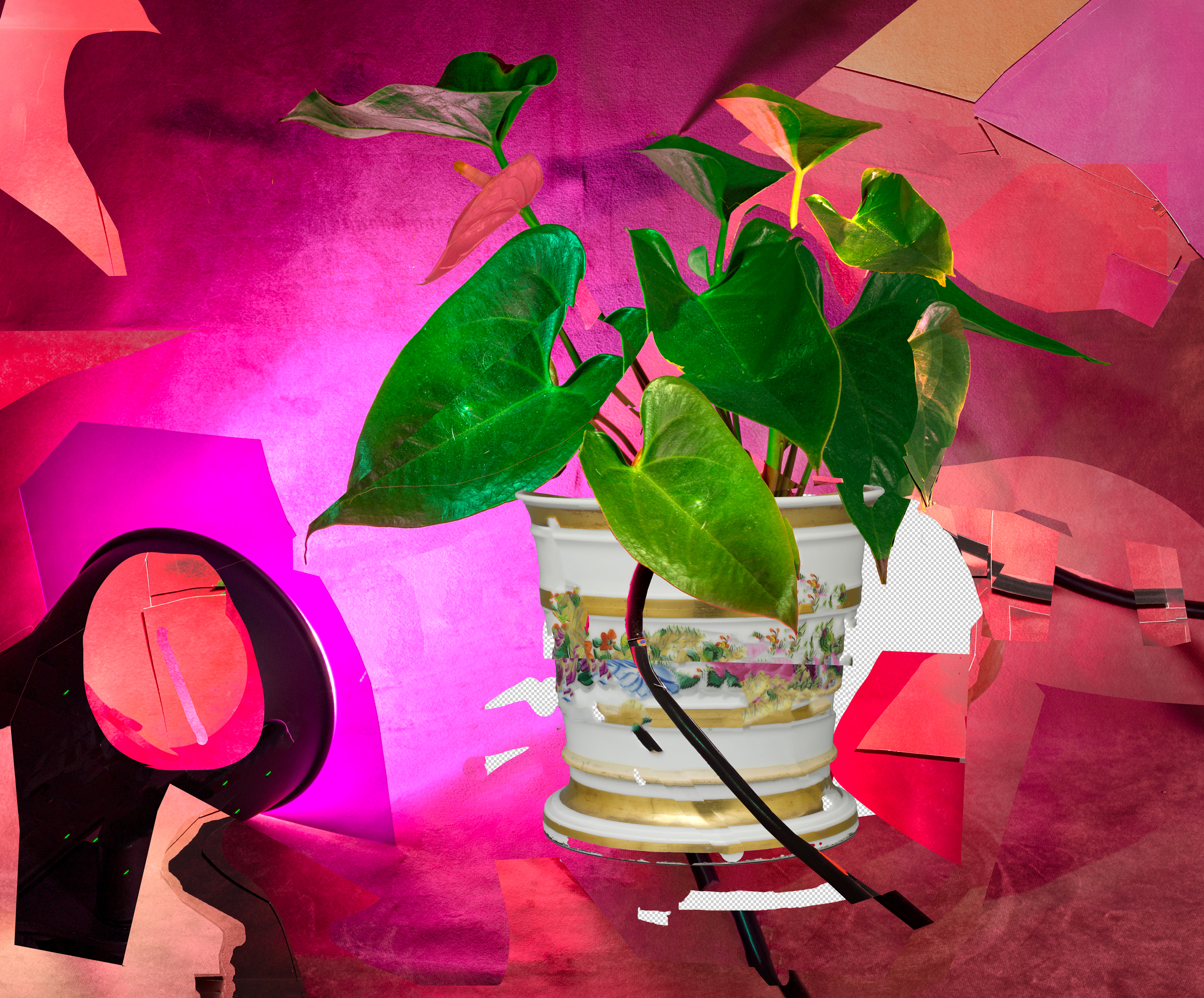 Emerald green pet (better than a welcome mat), 2021, archival pigment print, 31”x41” and 17”x22”