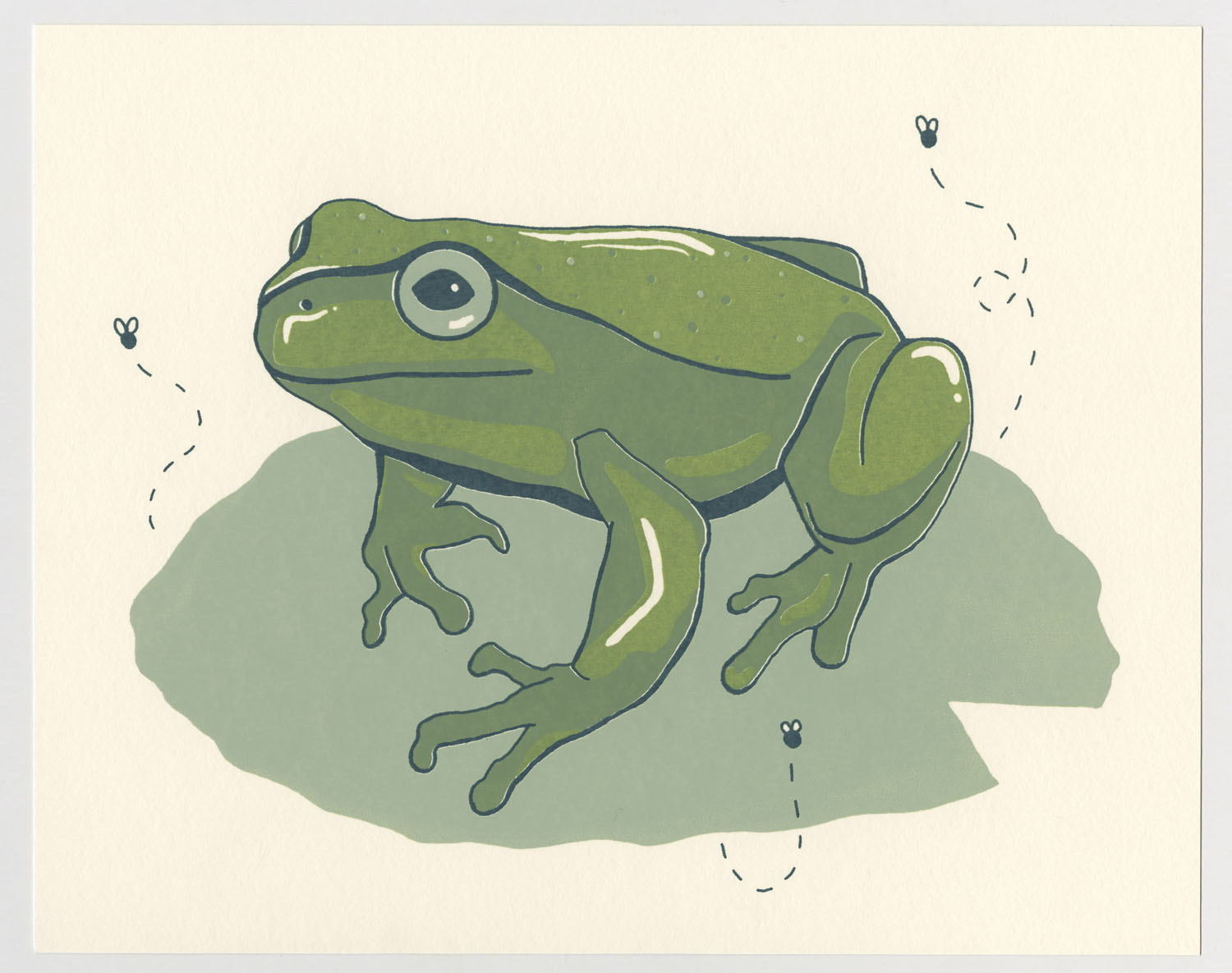 Frog2022, Screen print on Canson Colorline, 8x10&rdquo;