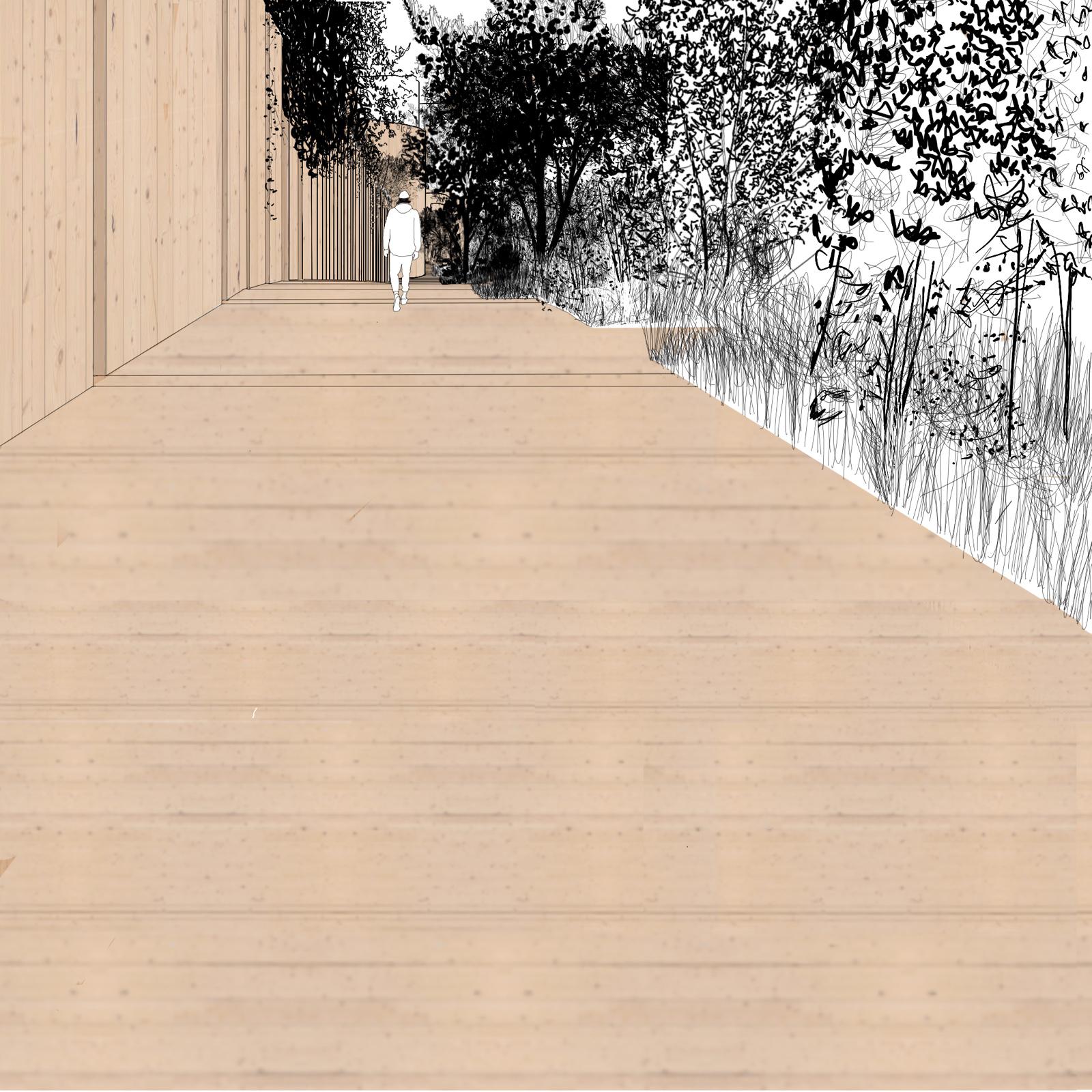 Path rises while vegetation oscillates in and out.