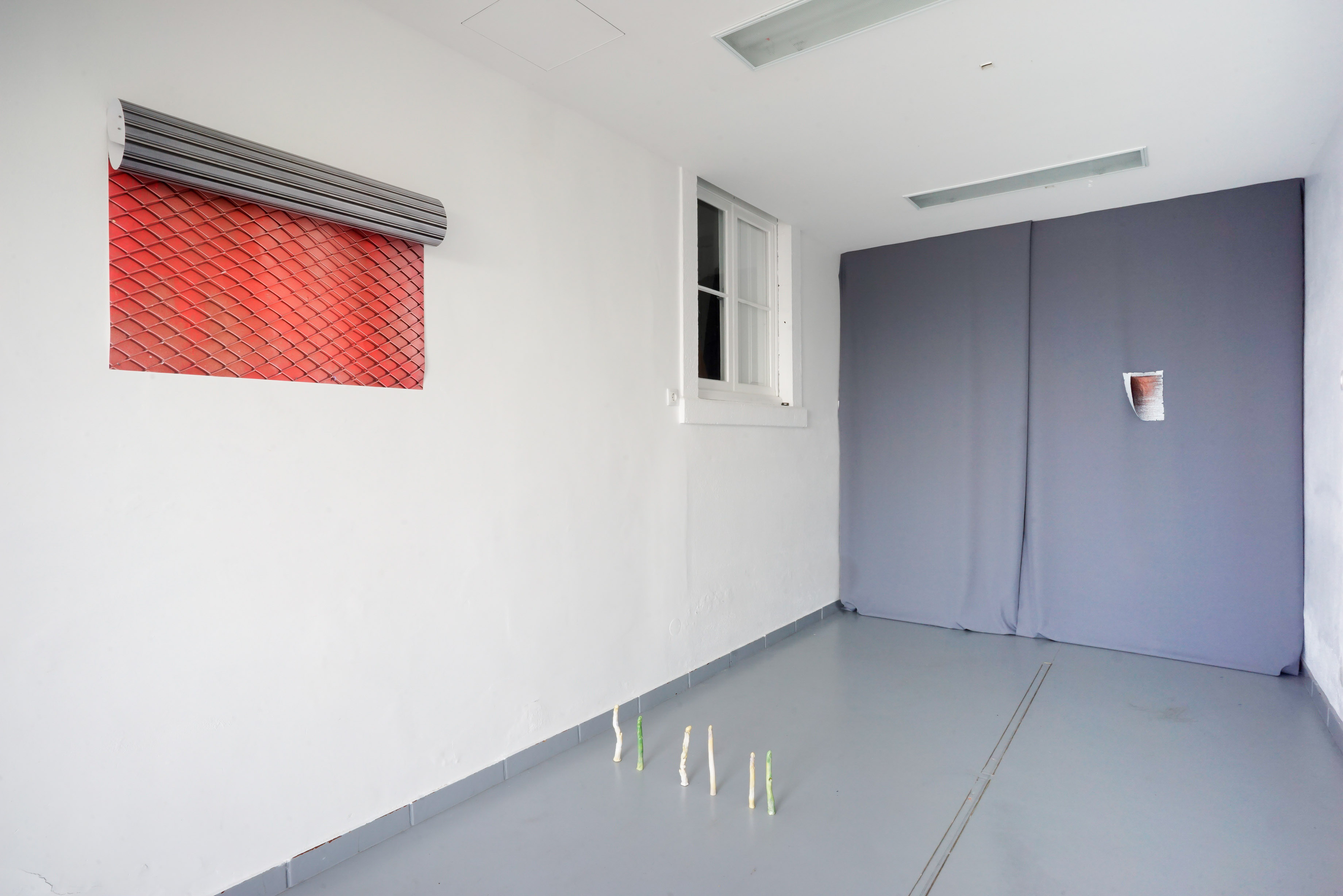 fltr: Jakob Francisco, Dominika Bednarksy, Svetlana Mijic