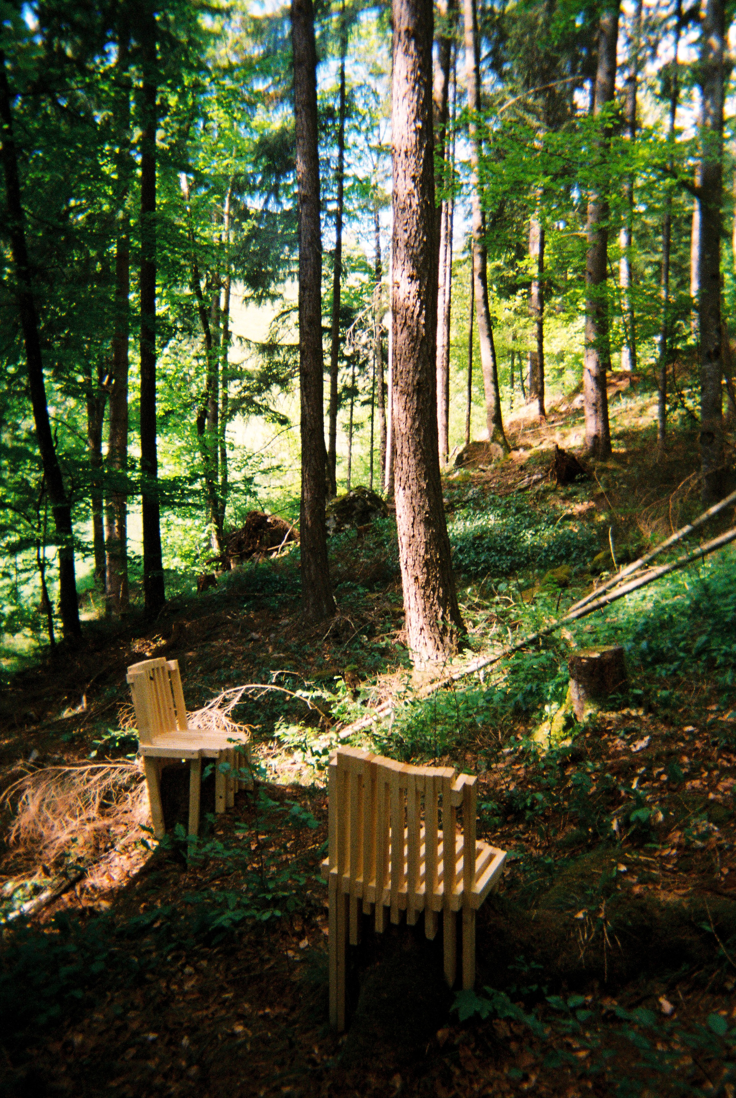 Photographs taken while walking on THE LINE in Liechtenstein by Studio Venice