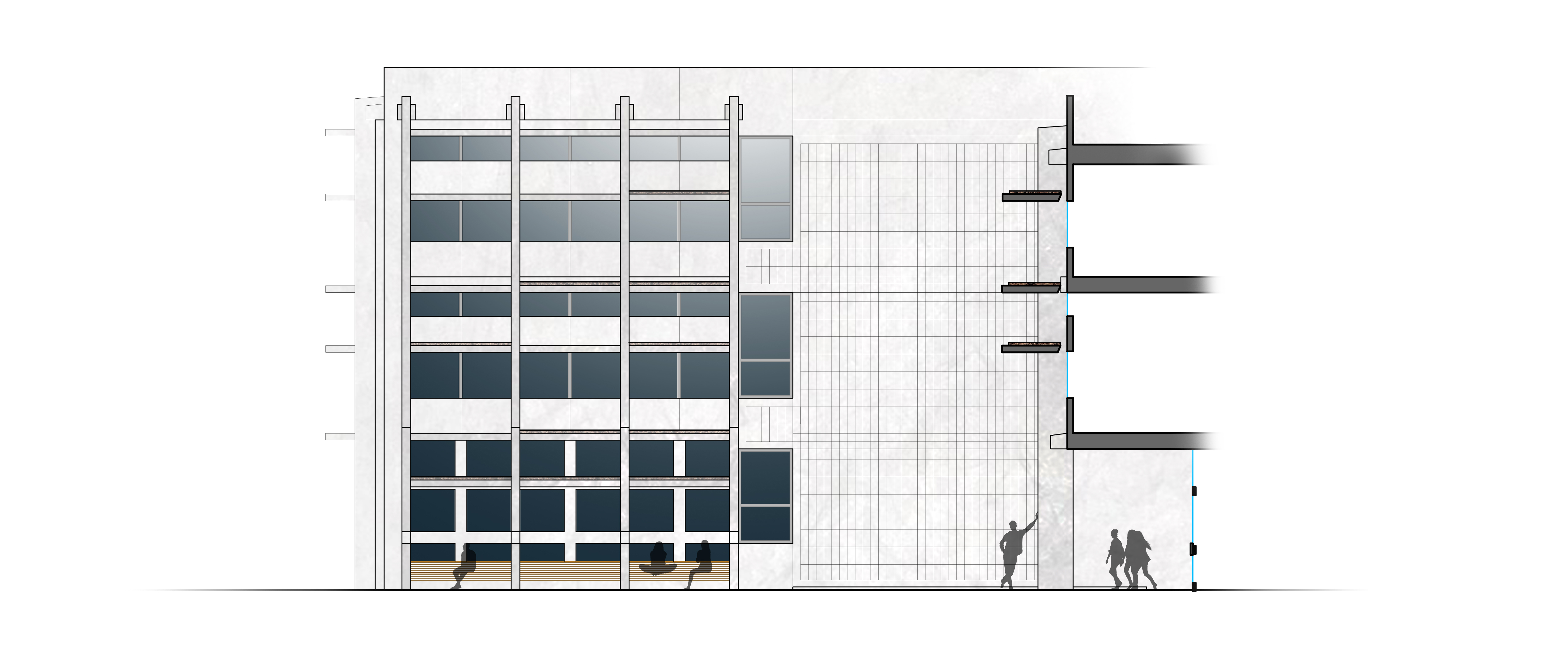 Wurster Hall Planting Plan — Portfolio Website