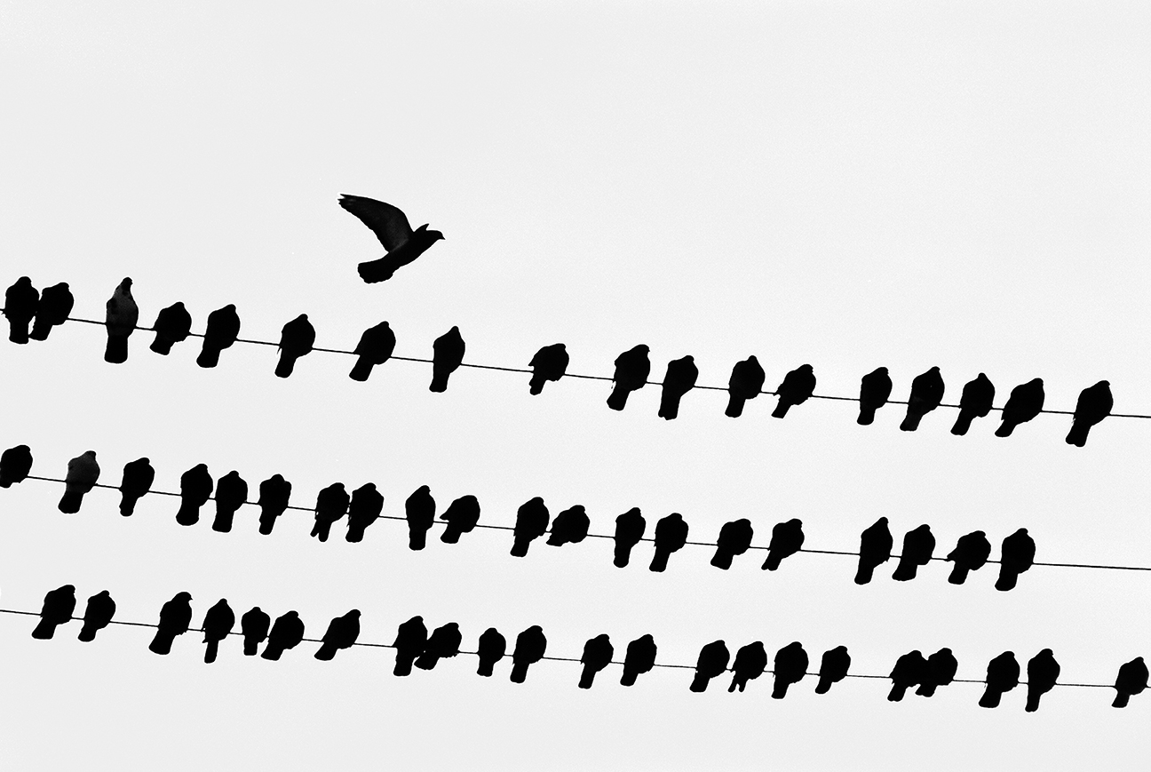 Transparent Metaphor