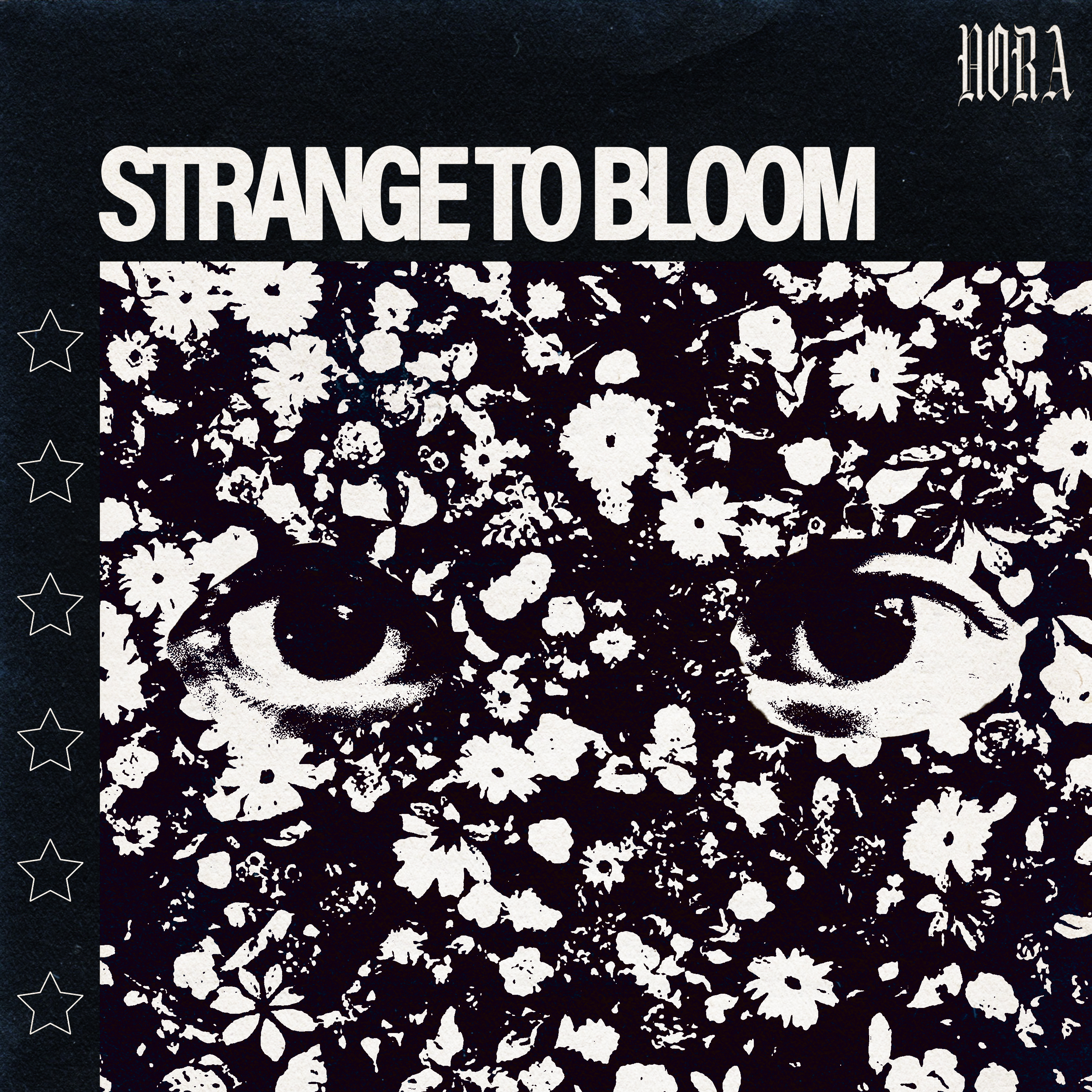 NORA - Strange to Bloom (EP)