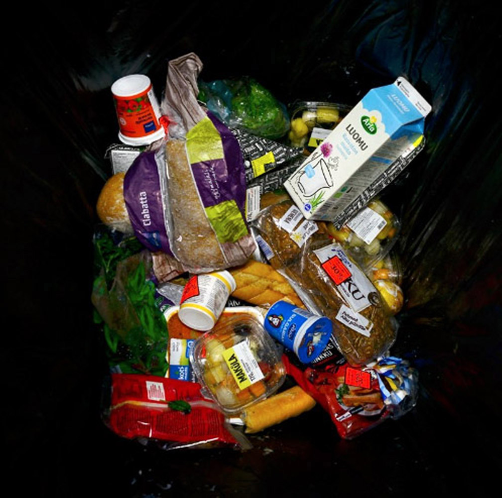 Filippo Zambon: Into the Bin
