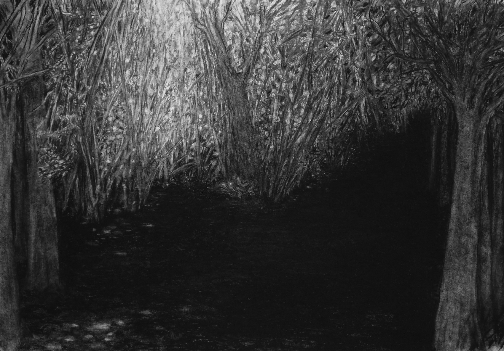 houtskool op papier, 70 x 100 cm [privécollectie]