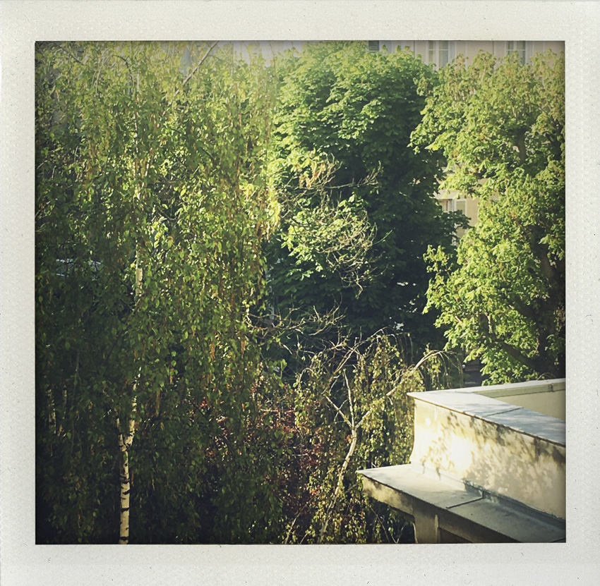 6 Avril 2020 Éclosion verte