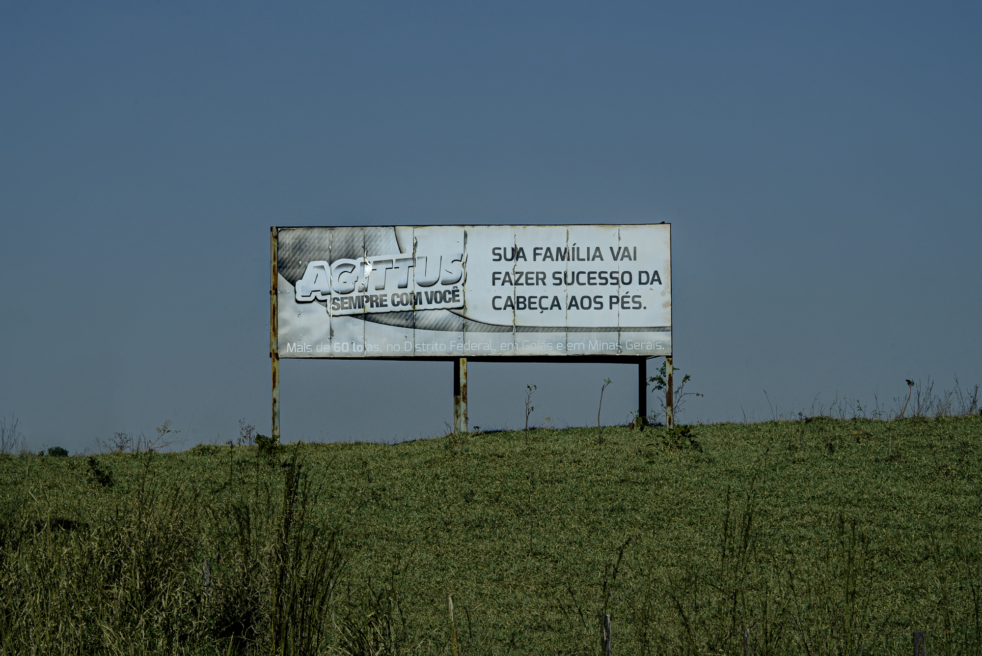 Disponível #31