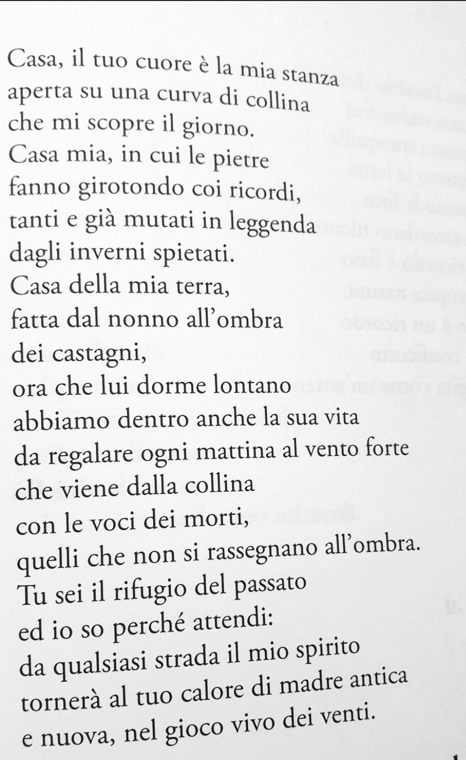 Beatrice Viggiani Come una poesia di citt