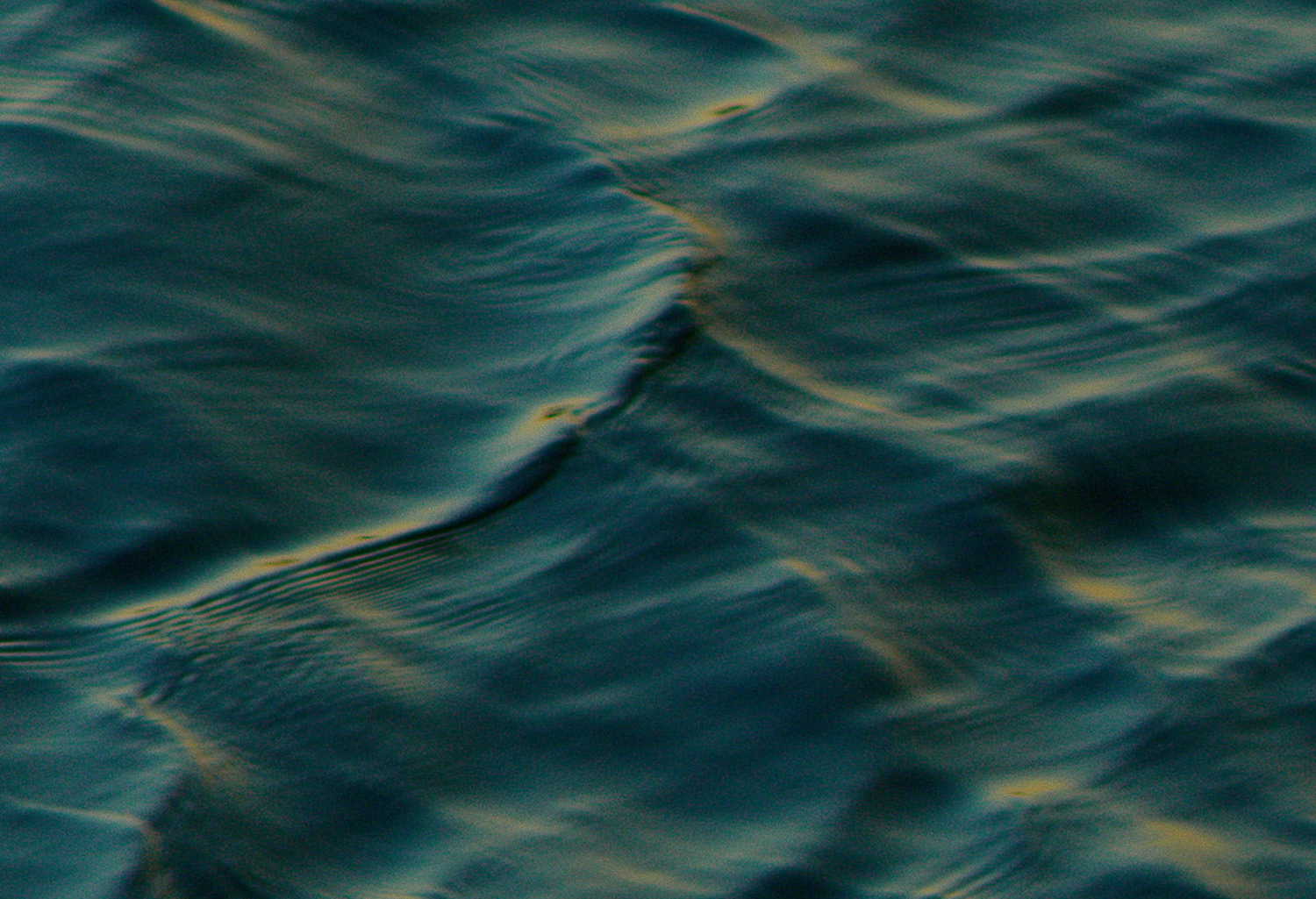 Cuisine of Northern Portugal - by Nuno MendesArt Direction, Set Design