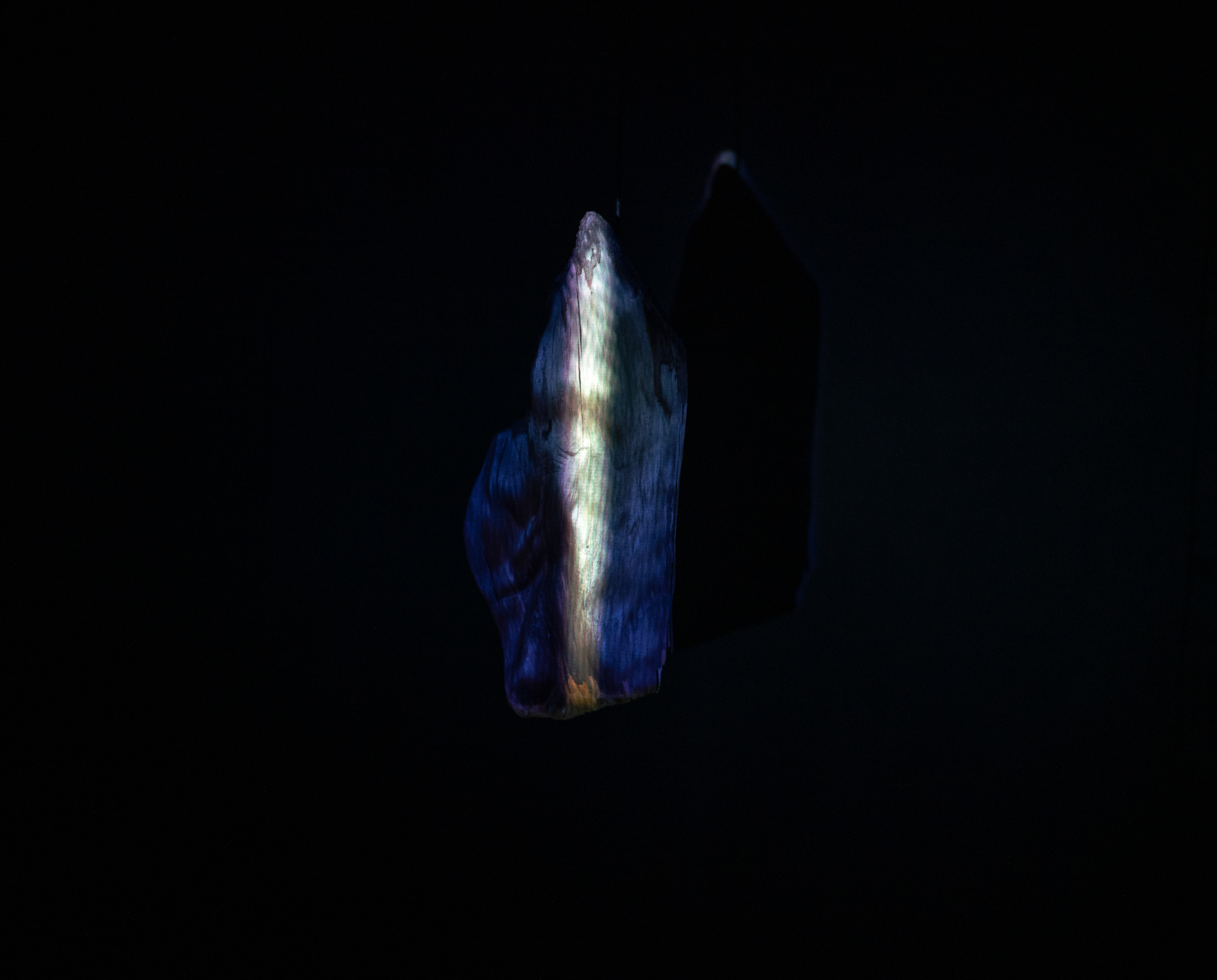 Image by Simone Fischer