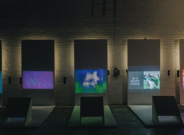 Abbeydale Picture House, Sheffield