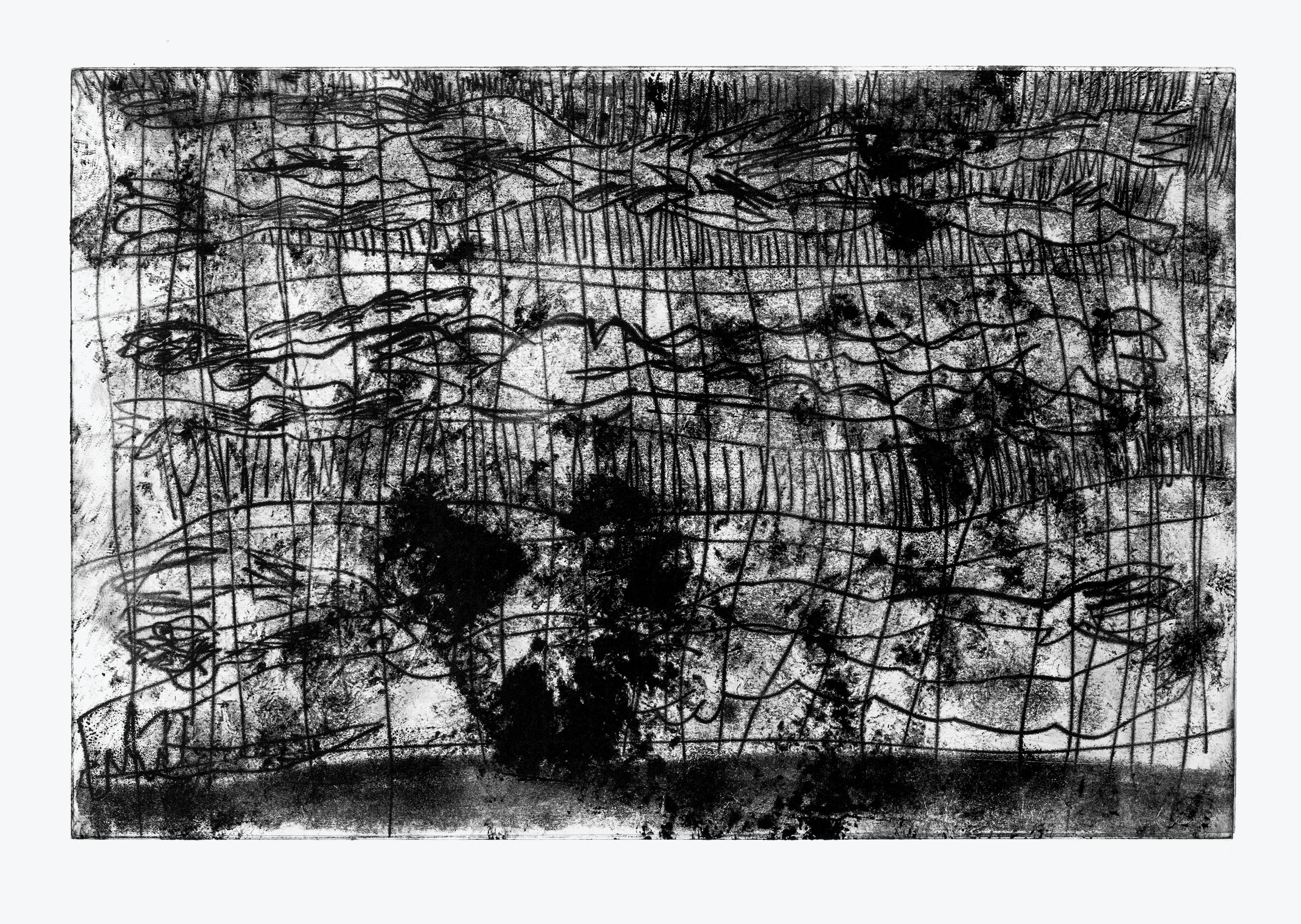 Griglia Astralemonotype on paper, unique, 35x50cm, 2017