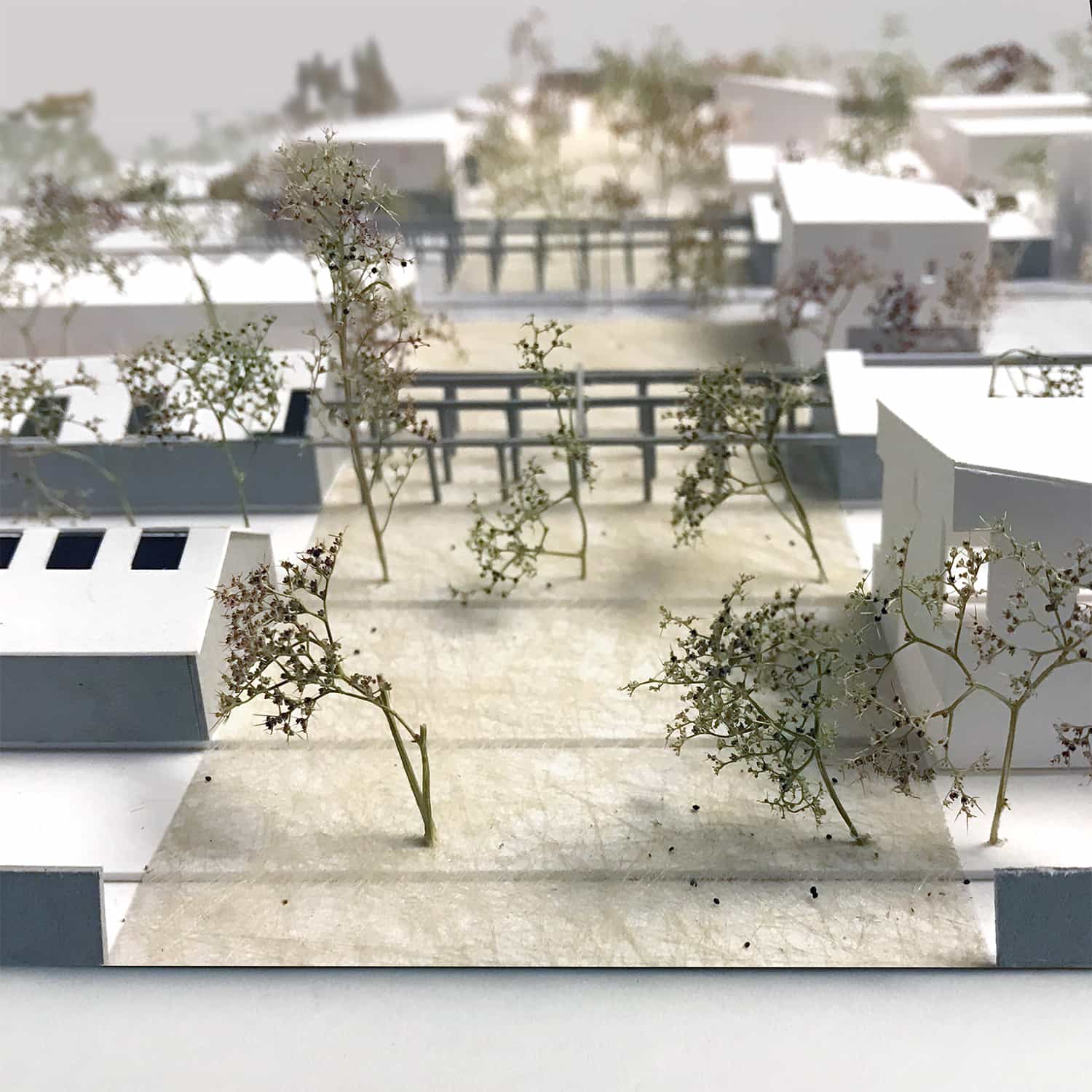 PRATI MADONNA del RIPOSO