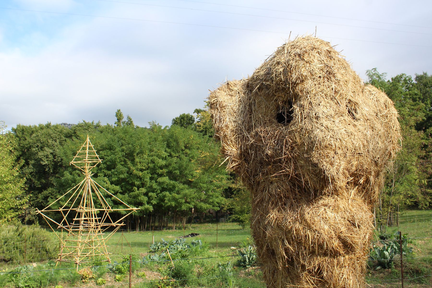 ph: Rebecca Sforzani