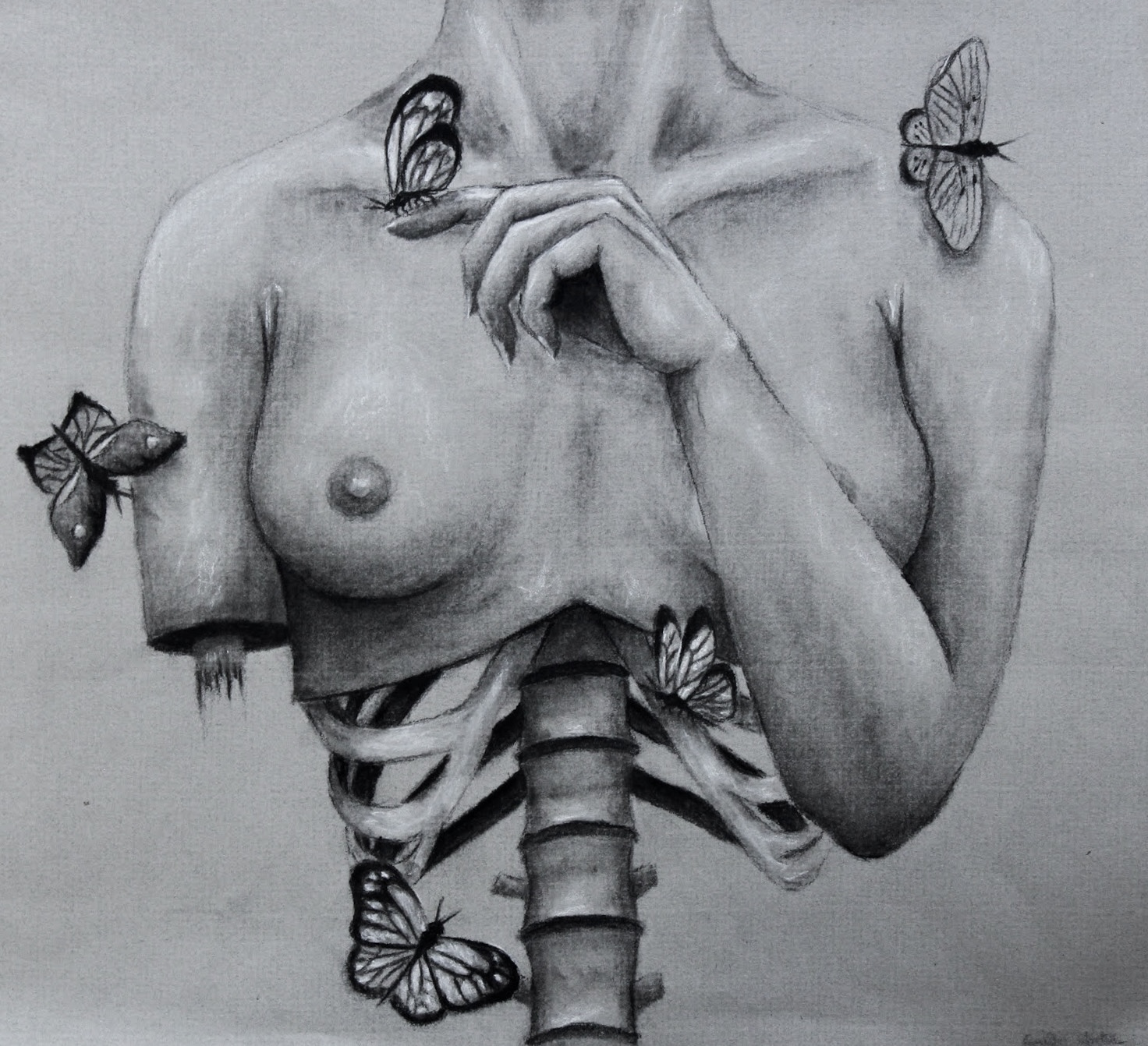 Butterflies in my Stomach, Charcoal, 2019