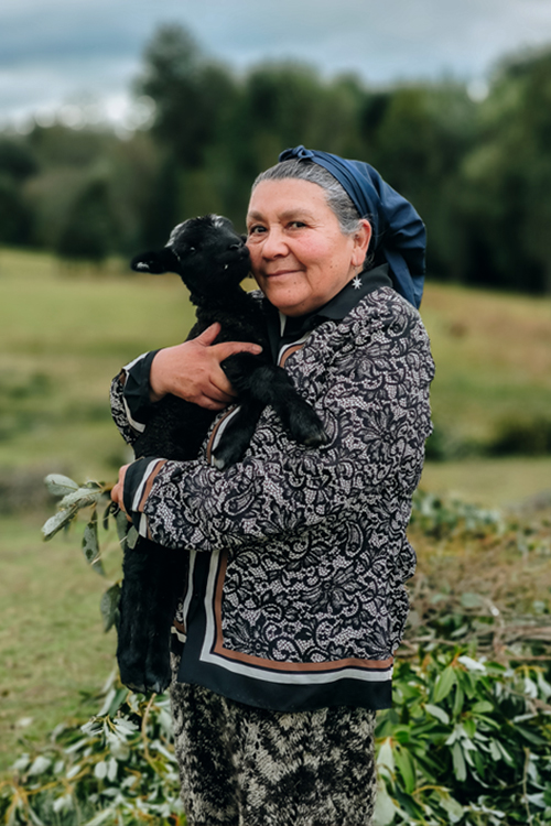 Xiaomi: Revelemos Chile