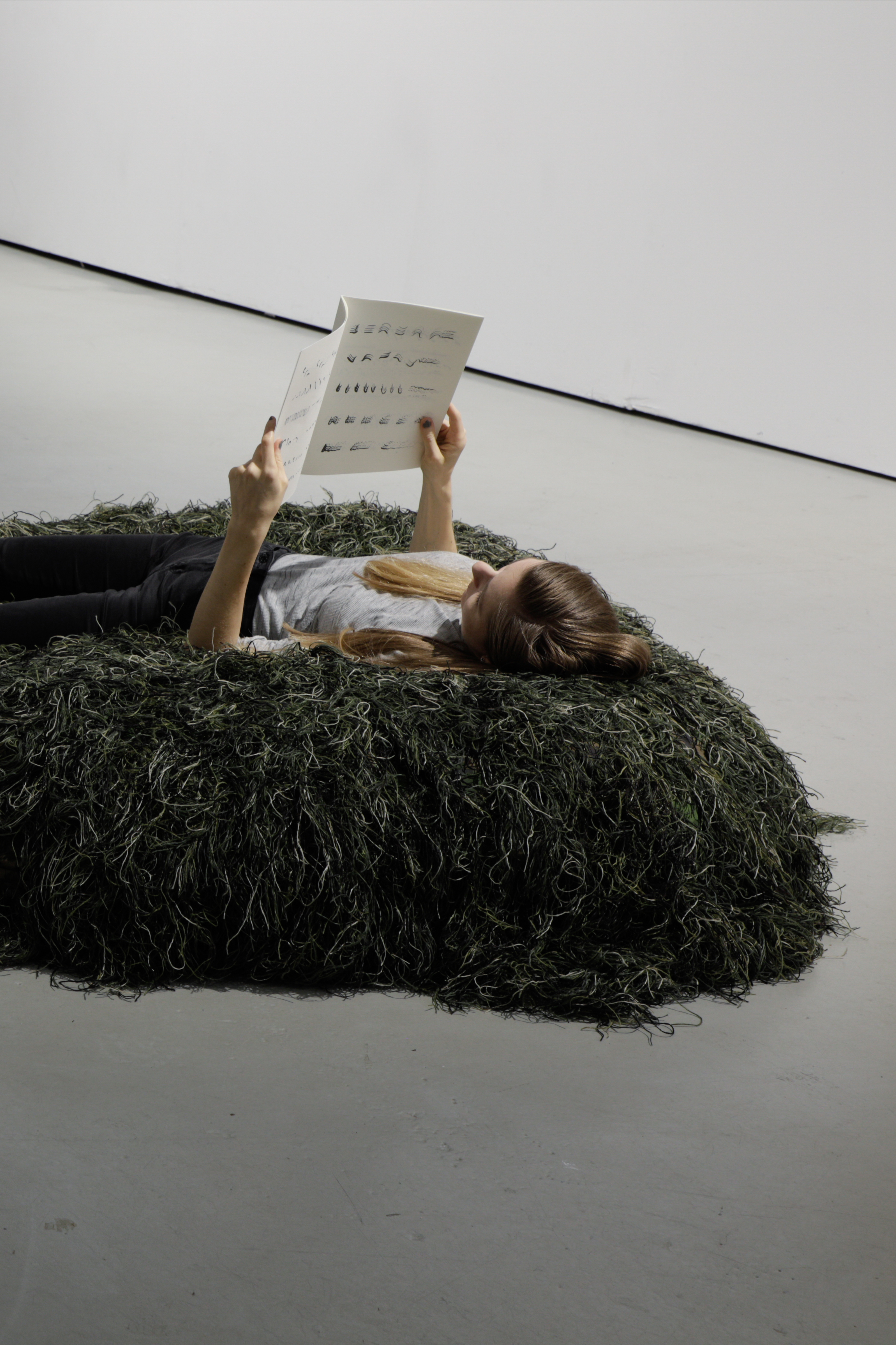 Leena Saarinen, Etydejä linnuille, 2020 