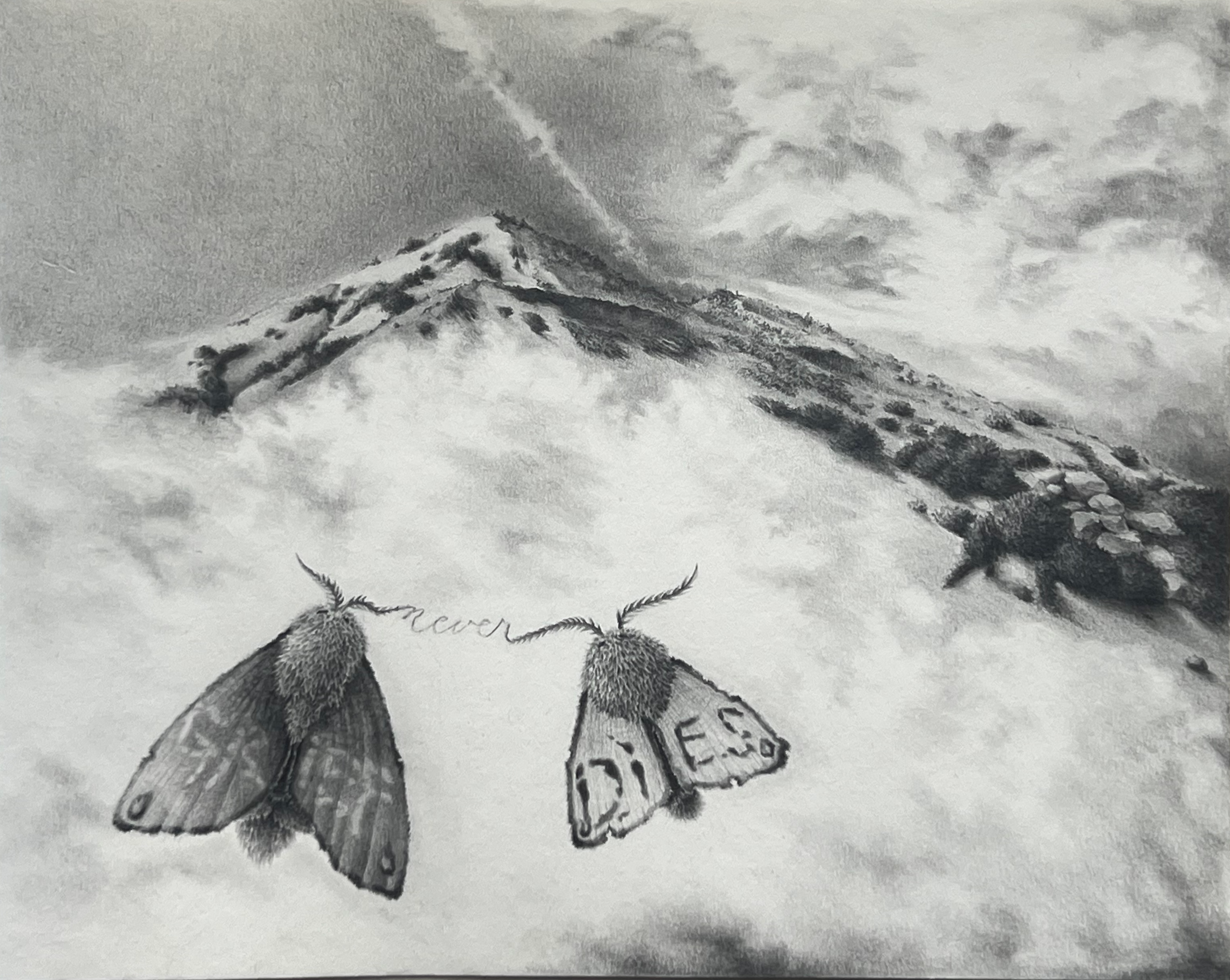 "Grief never dies" (2025) graphite on drawing paper