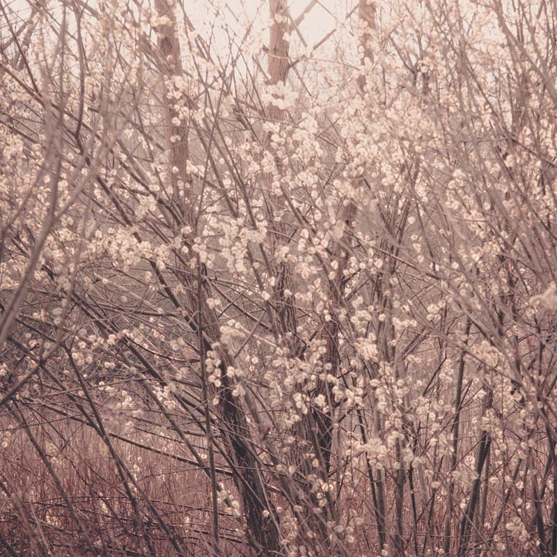 transience #39 with Lou Drago and Clara de Asís