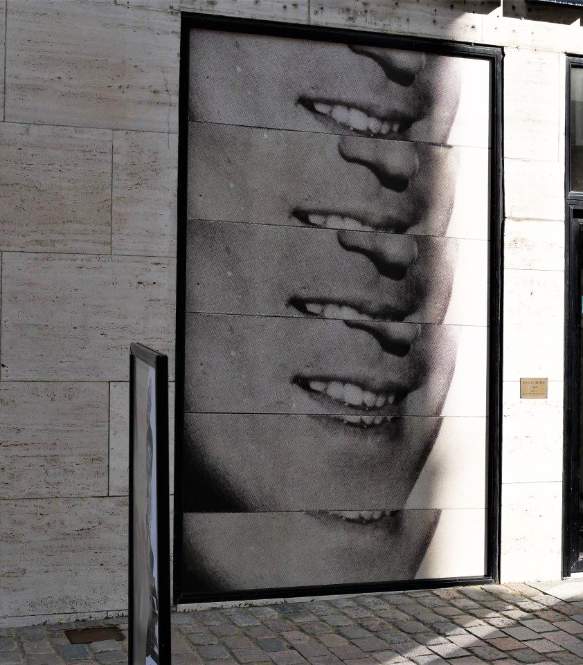 Untitled, 2020, Window Installation, 15 x 28 m