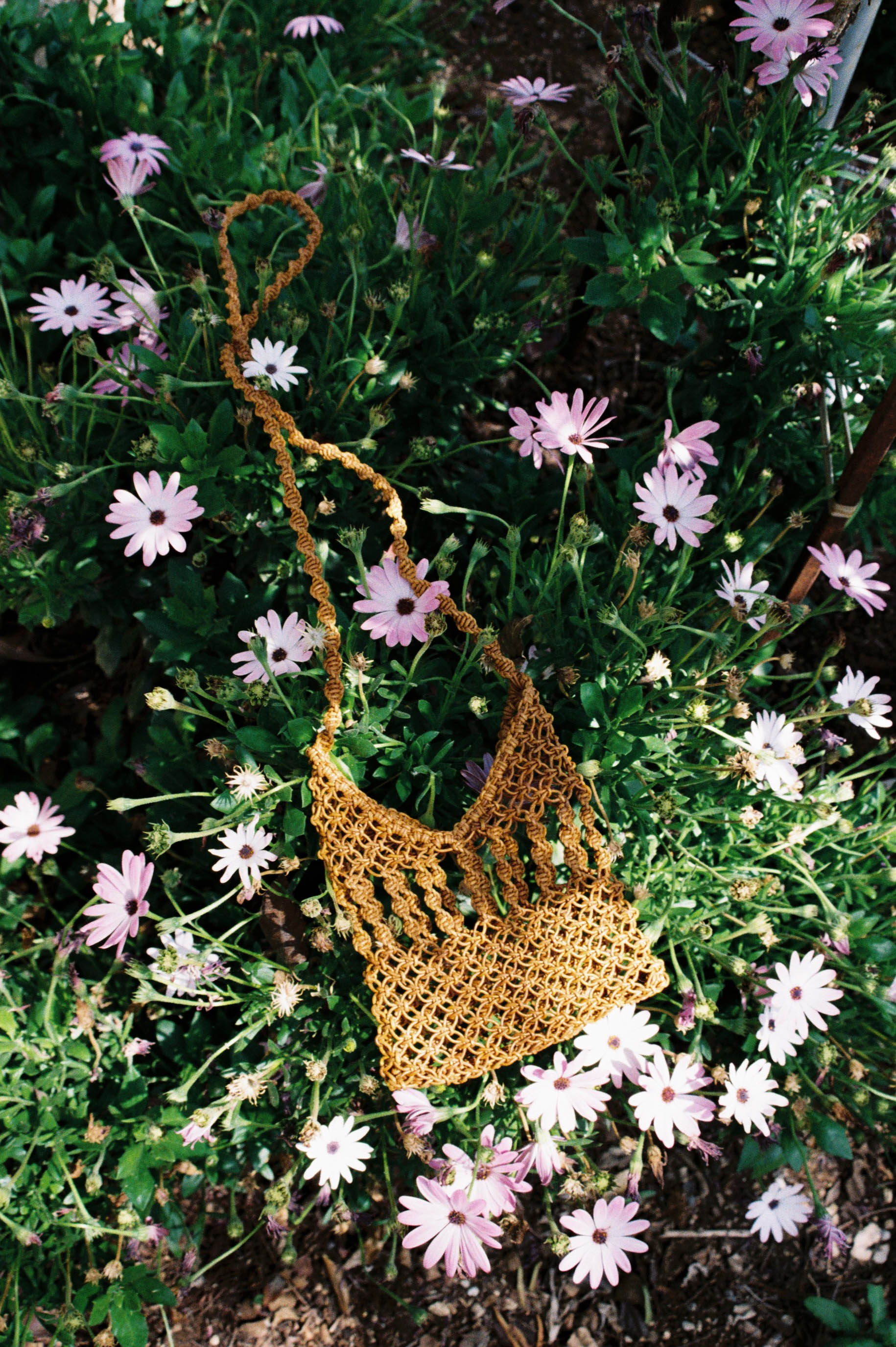 DANA MINI-BAG [ ocra ] €165